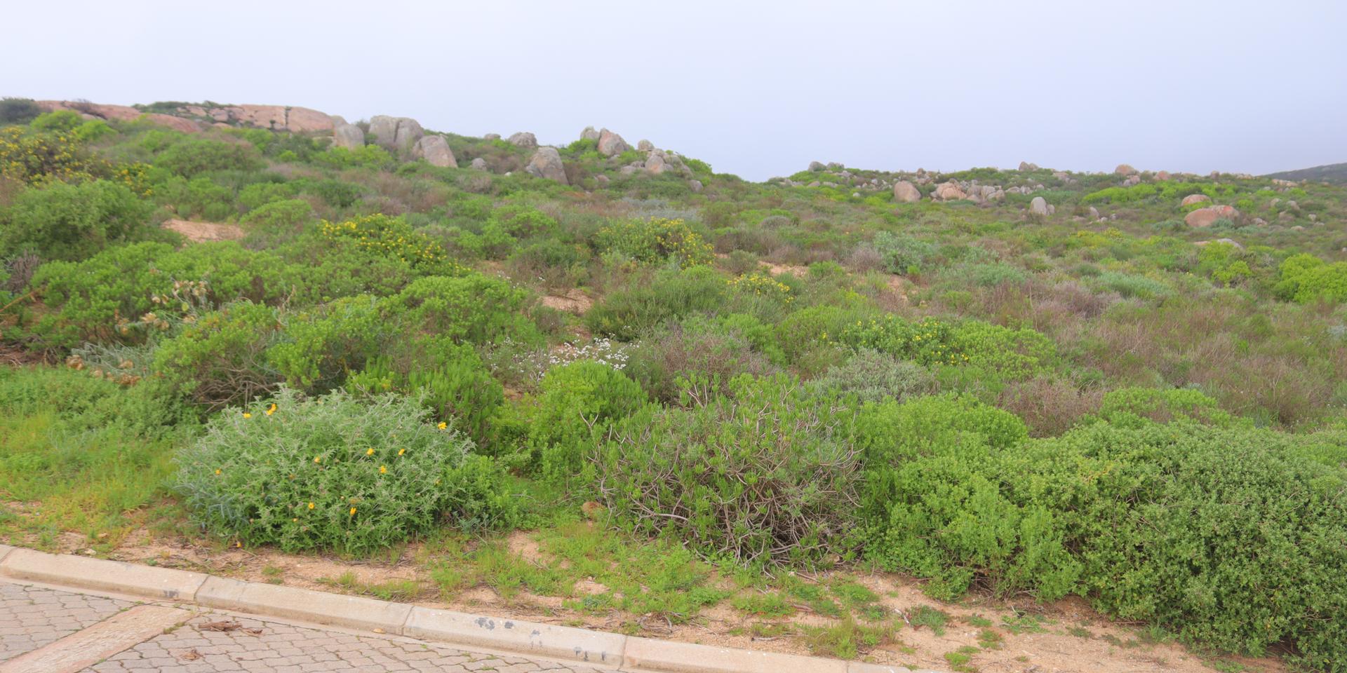 Image 5 of 6