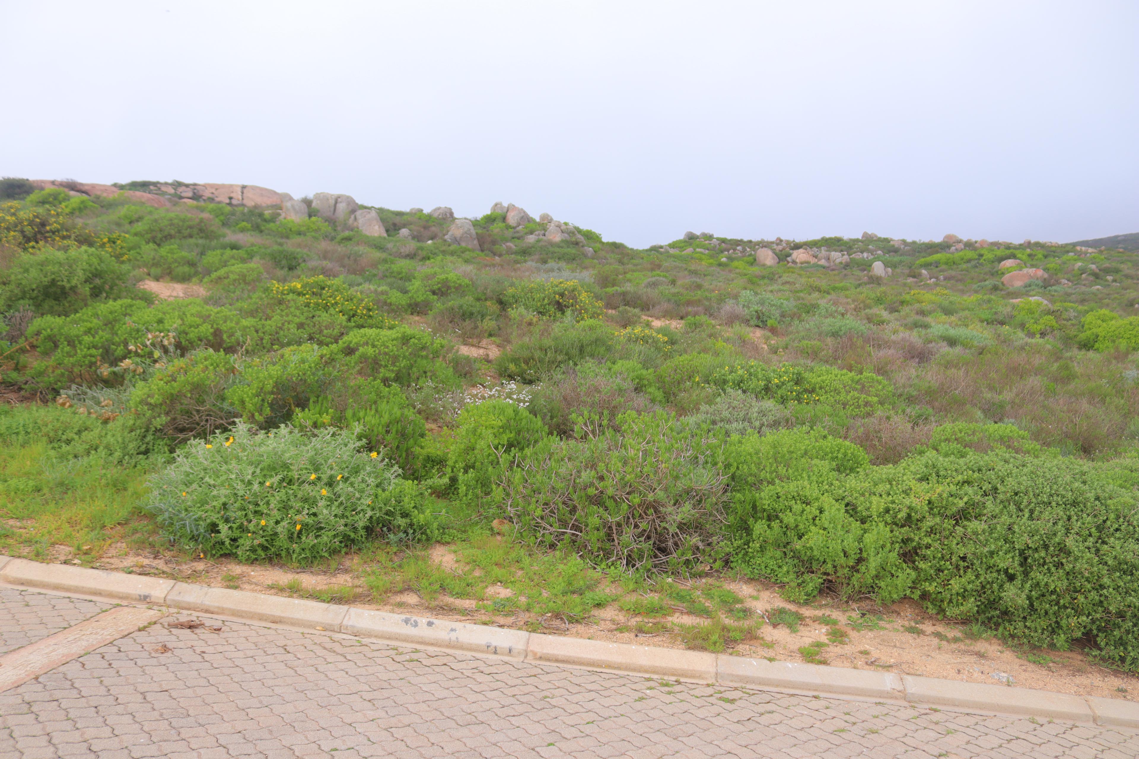 Image 5 of 6