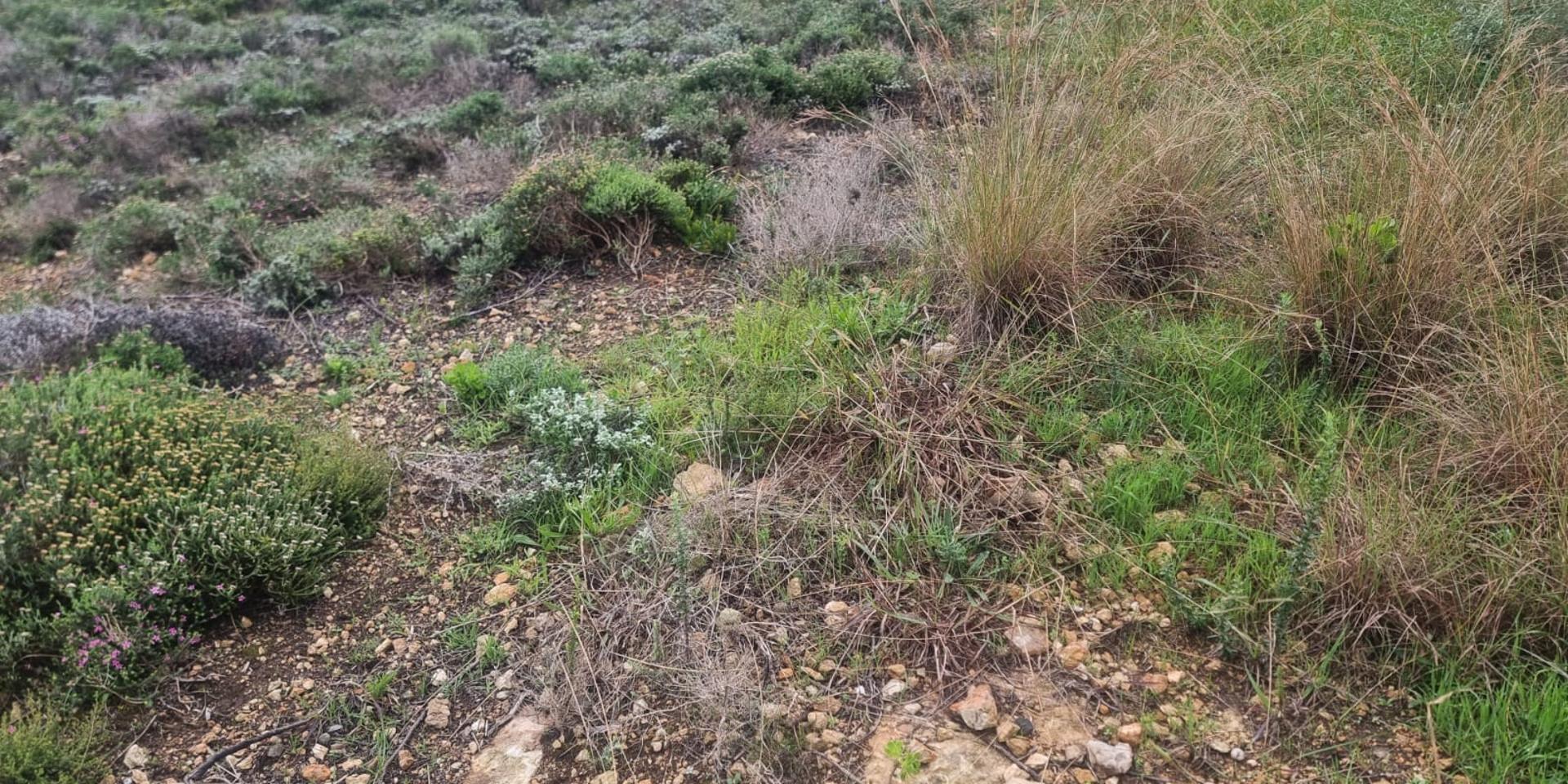 Image 4 of 6