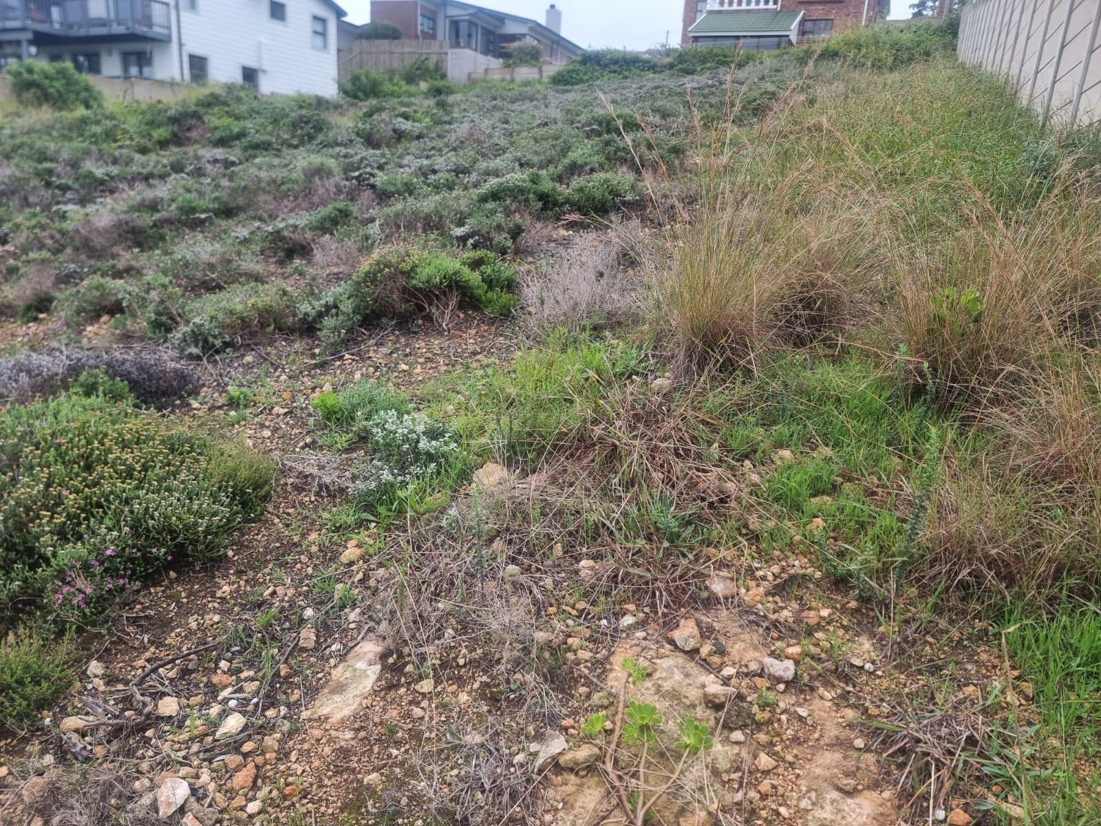 Image 4 of 6