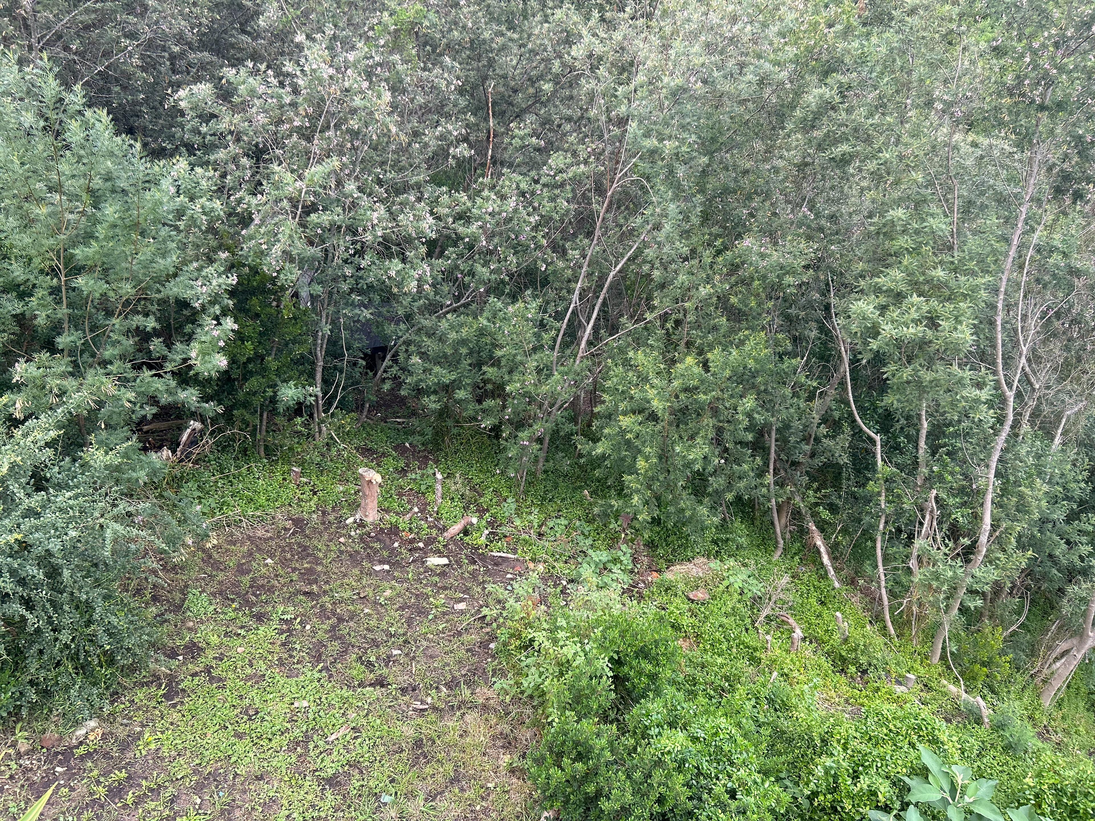 Image 23