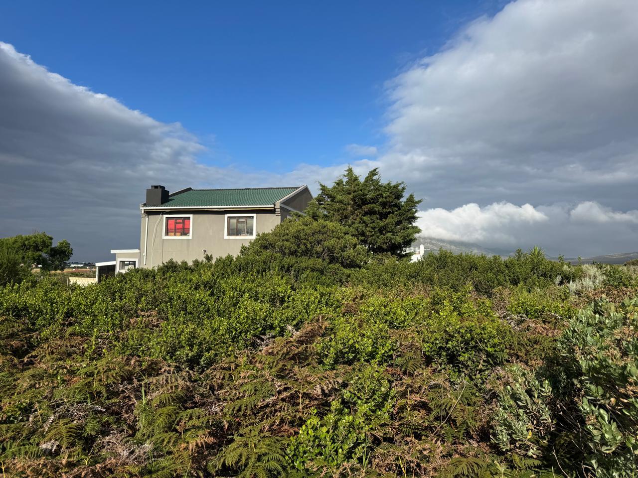 Image 11