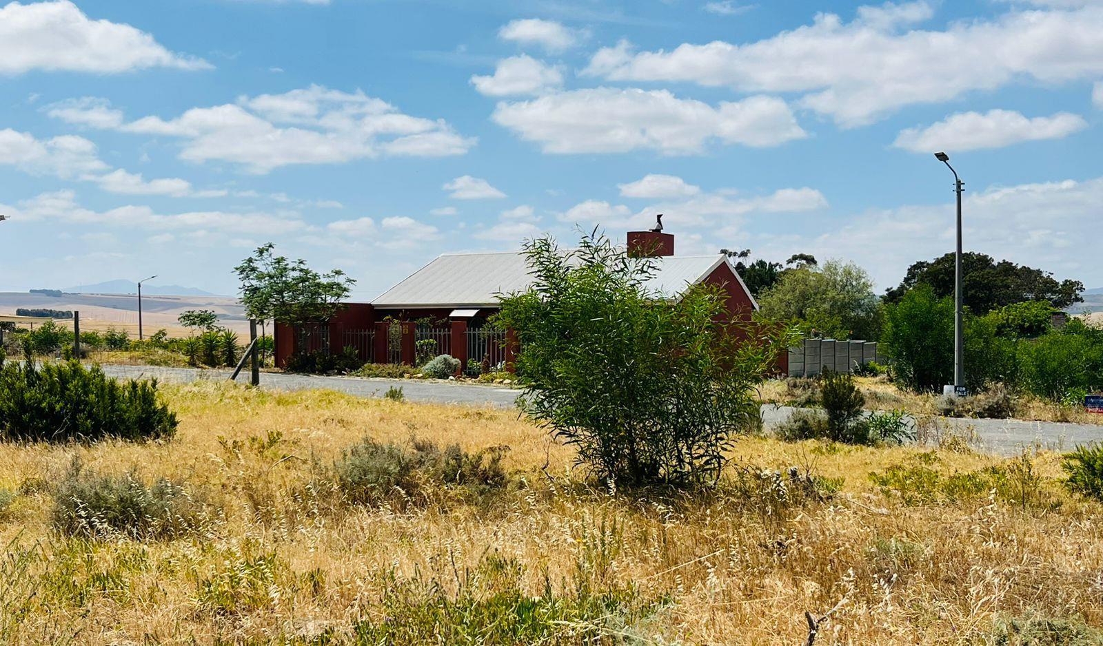 Image 12