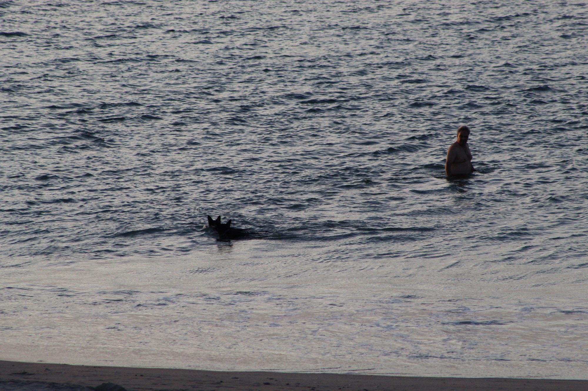 Image 15