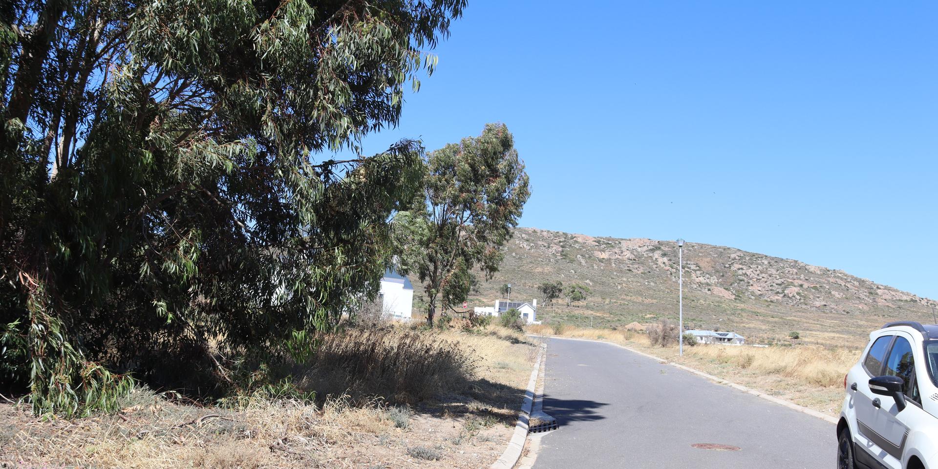 Image 4 of 6