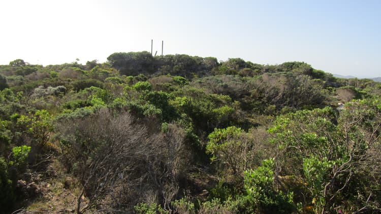 Main property image