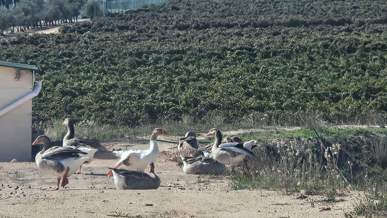 Image 1 of 6
