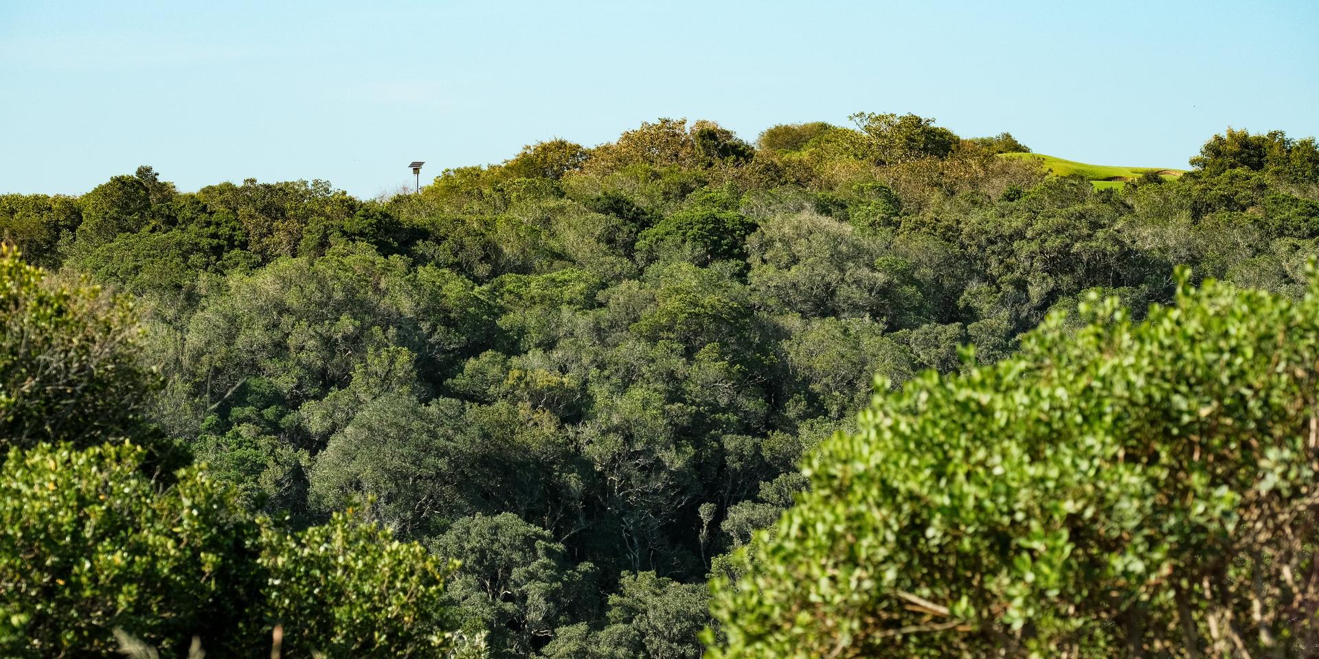 Image 4 of 6
