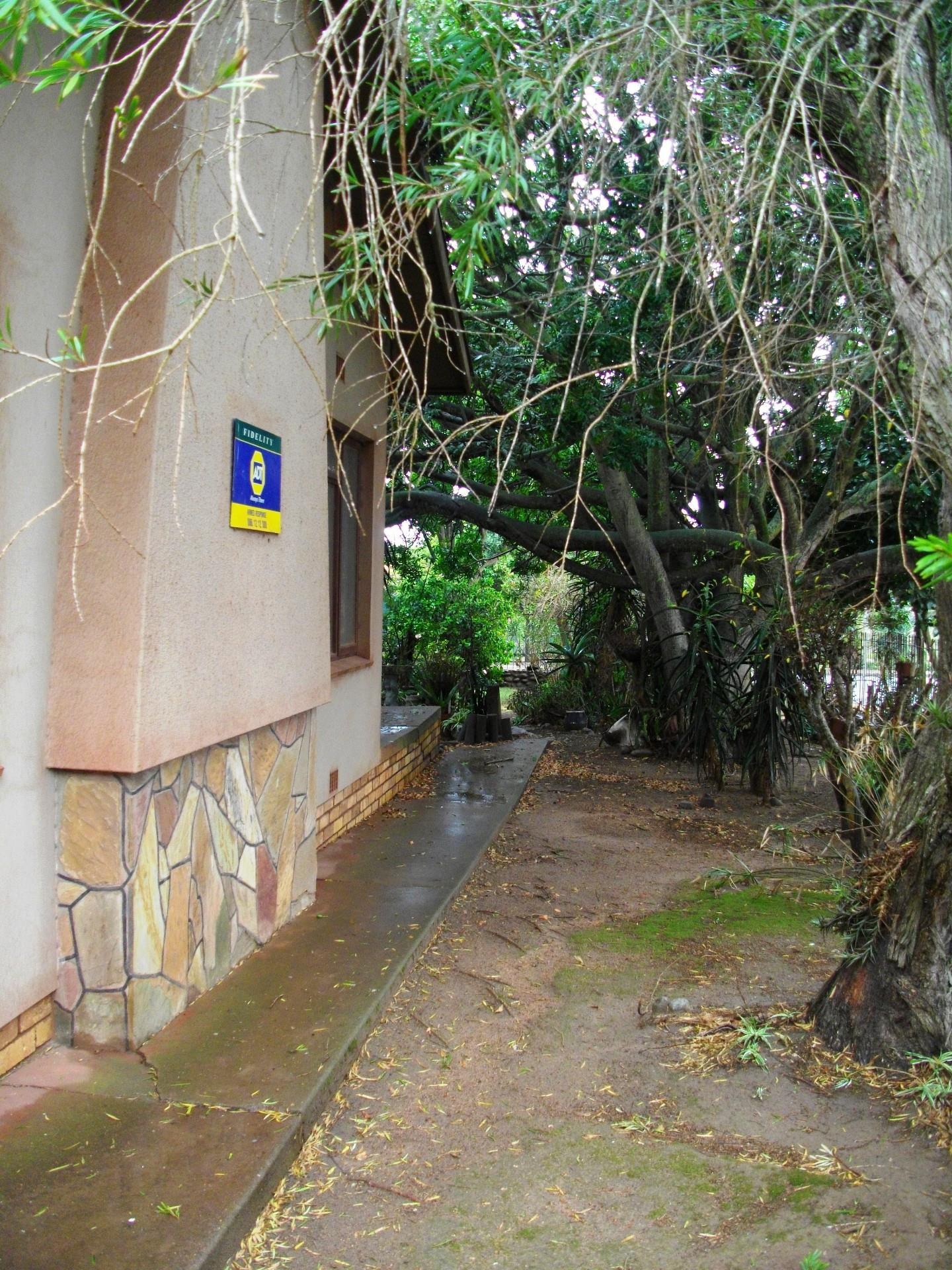 Image 21