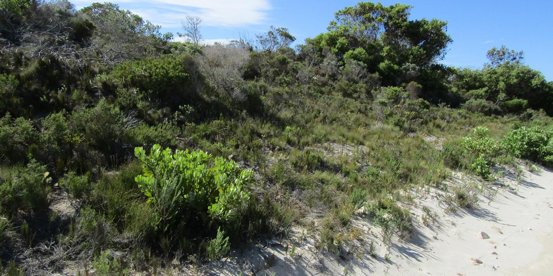 Image 2 of 6