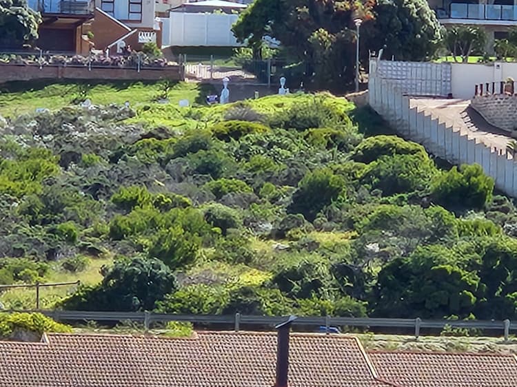 Main property image