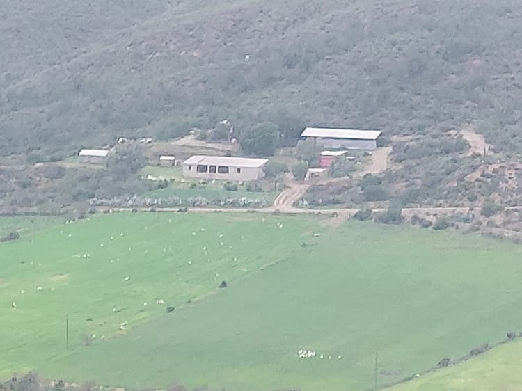 Main property image