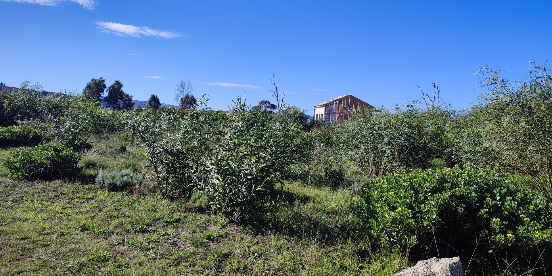 Image 4 of 6