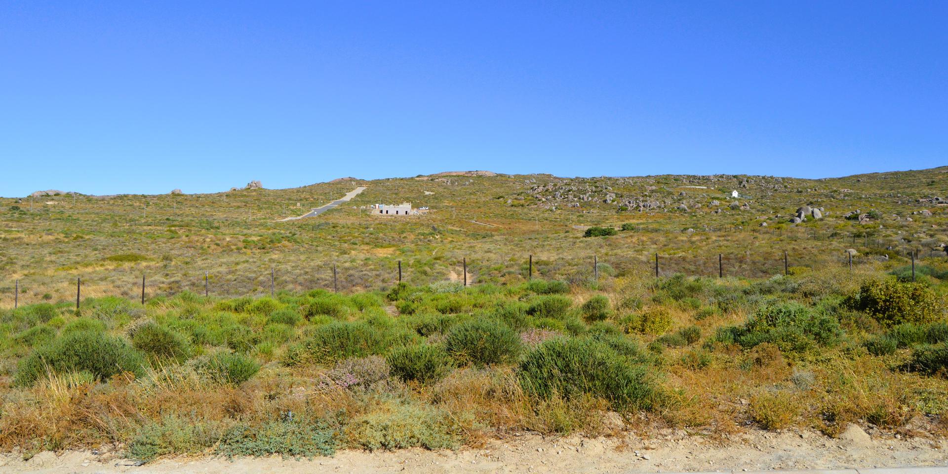 Image 5 of 6