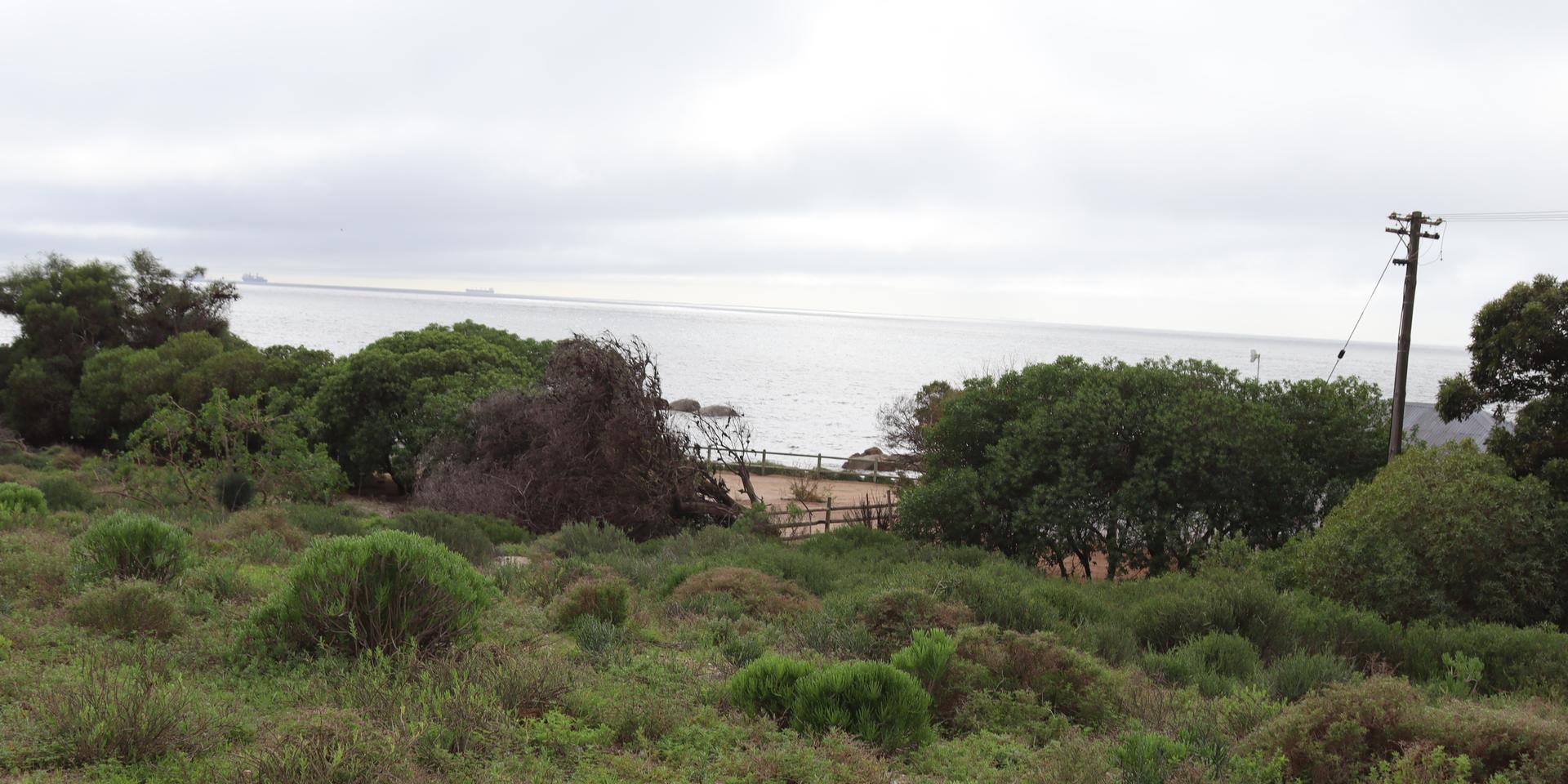 Image 4 of 6