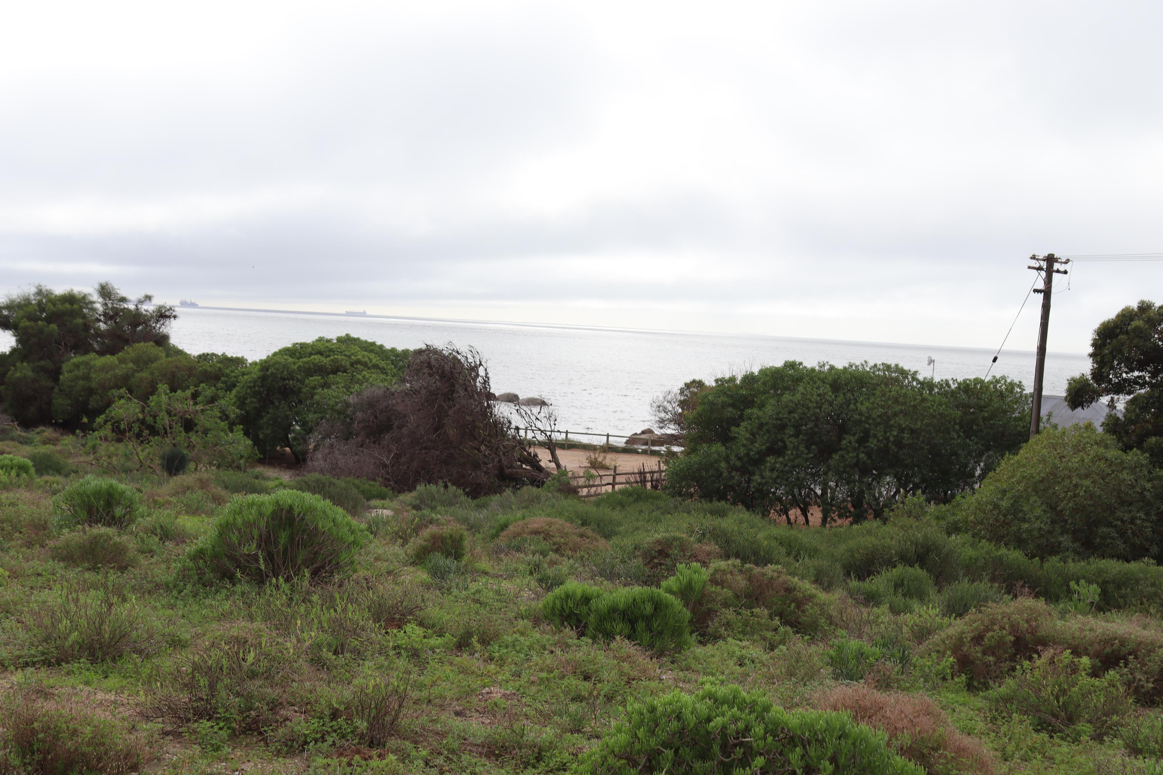Image 4 of 6