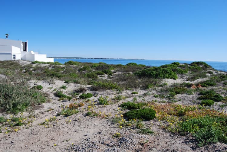 Main property image