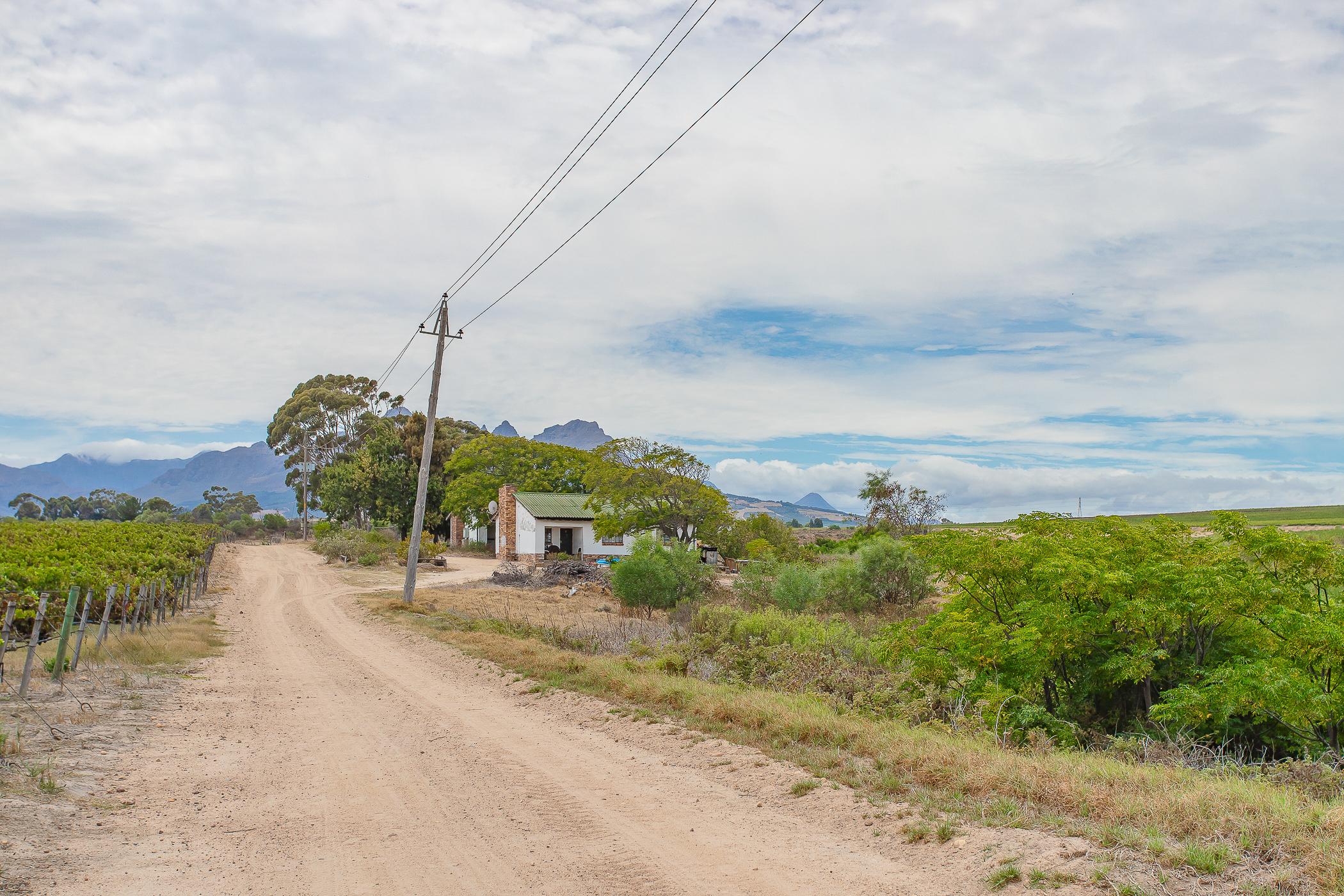 Image 38