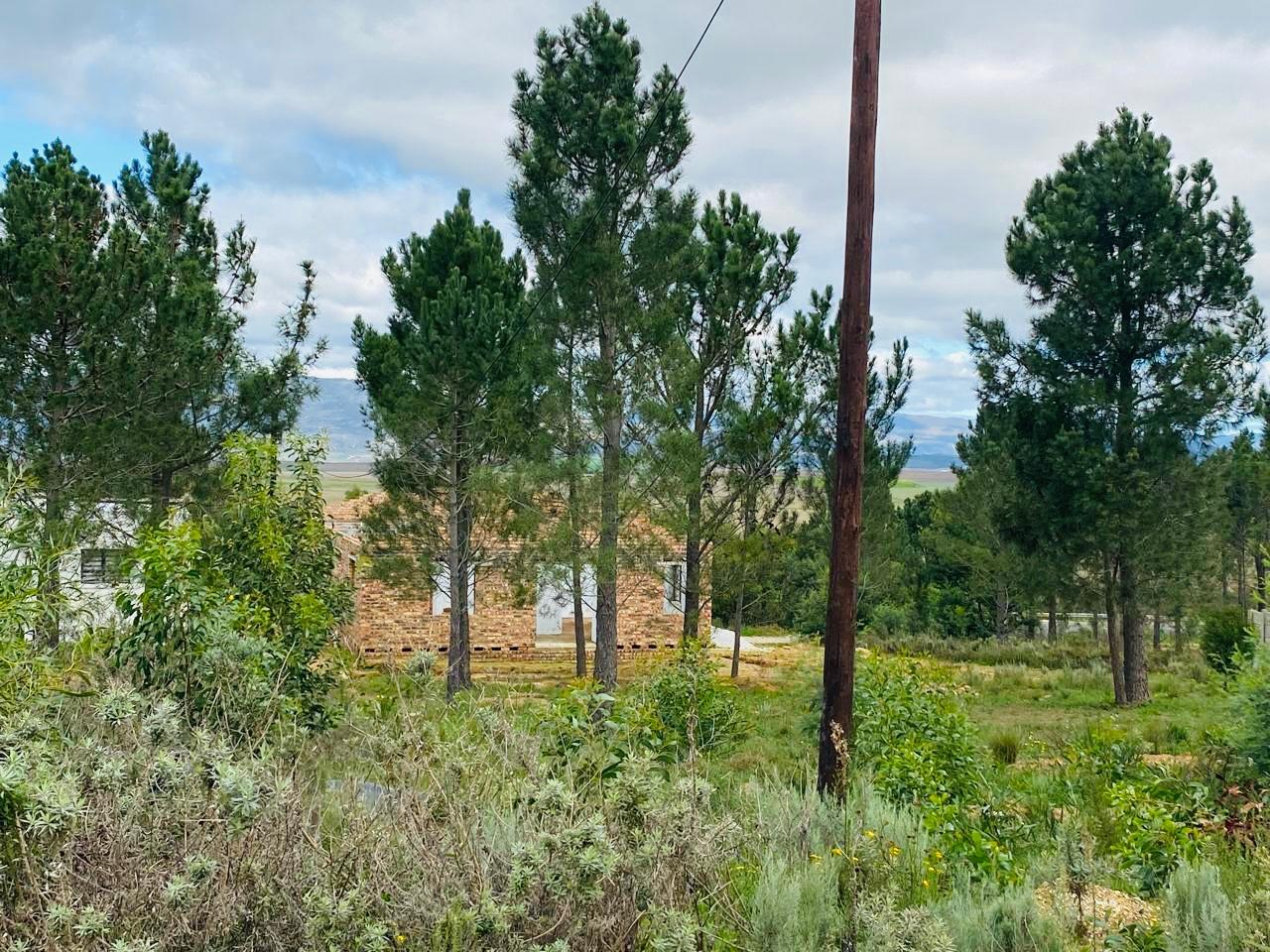Image 12
