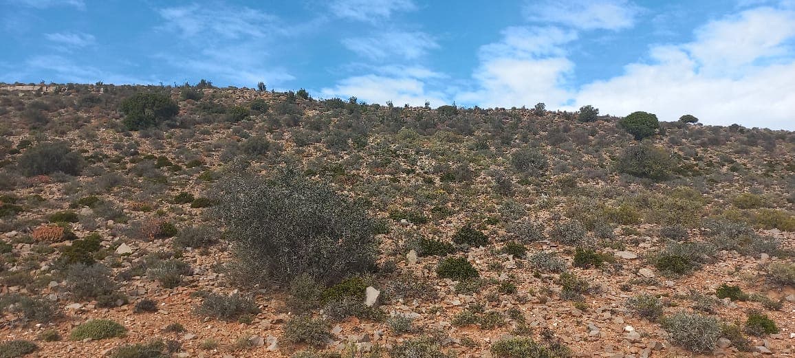 Image 14