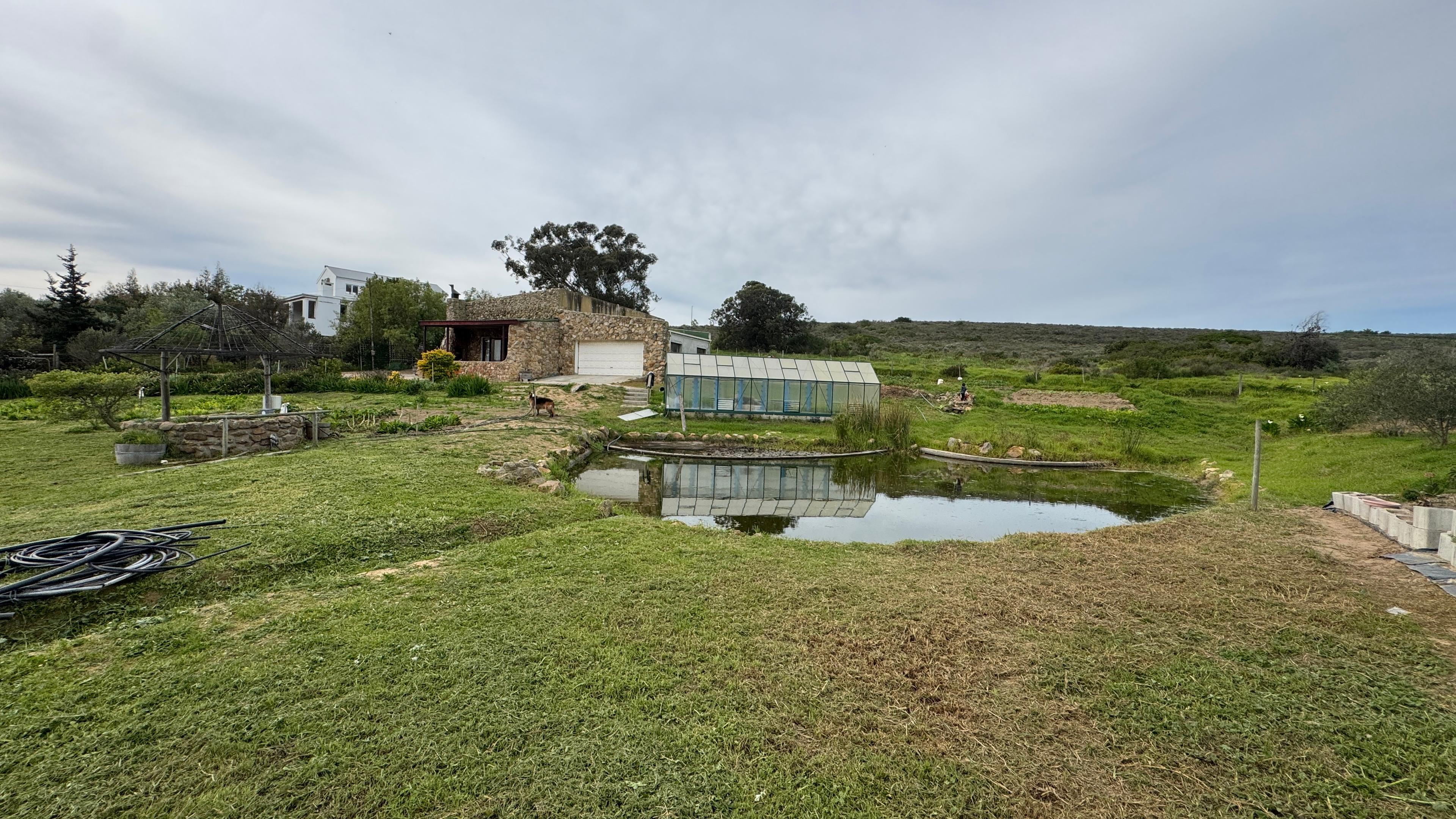 Image 5 of 6