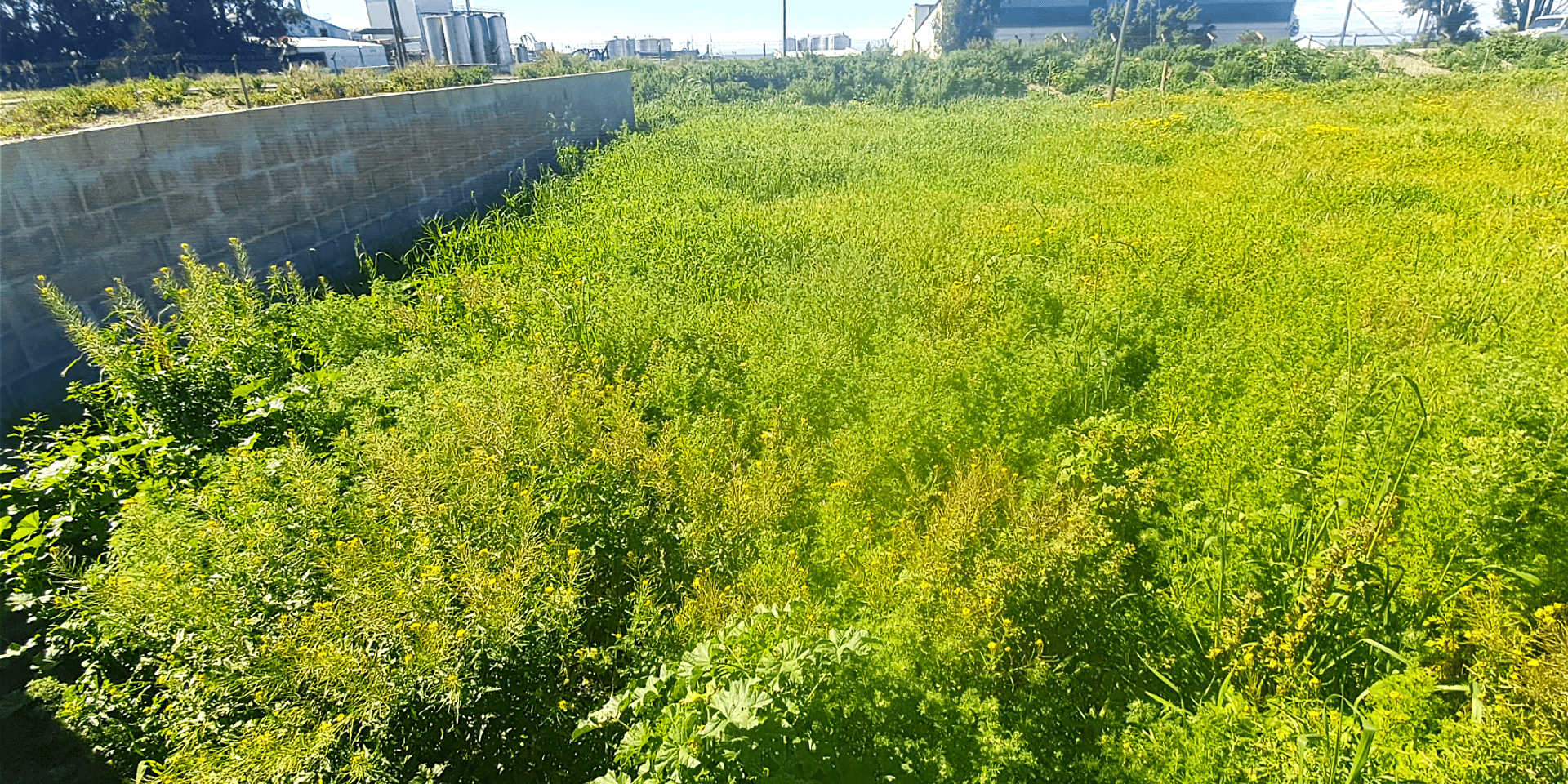 Image 3 of 6