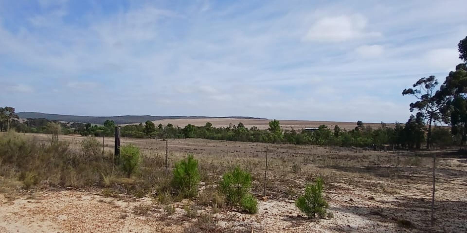 Image 4 of 6
