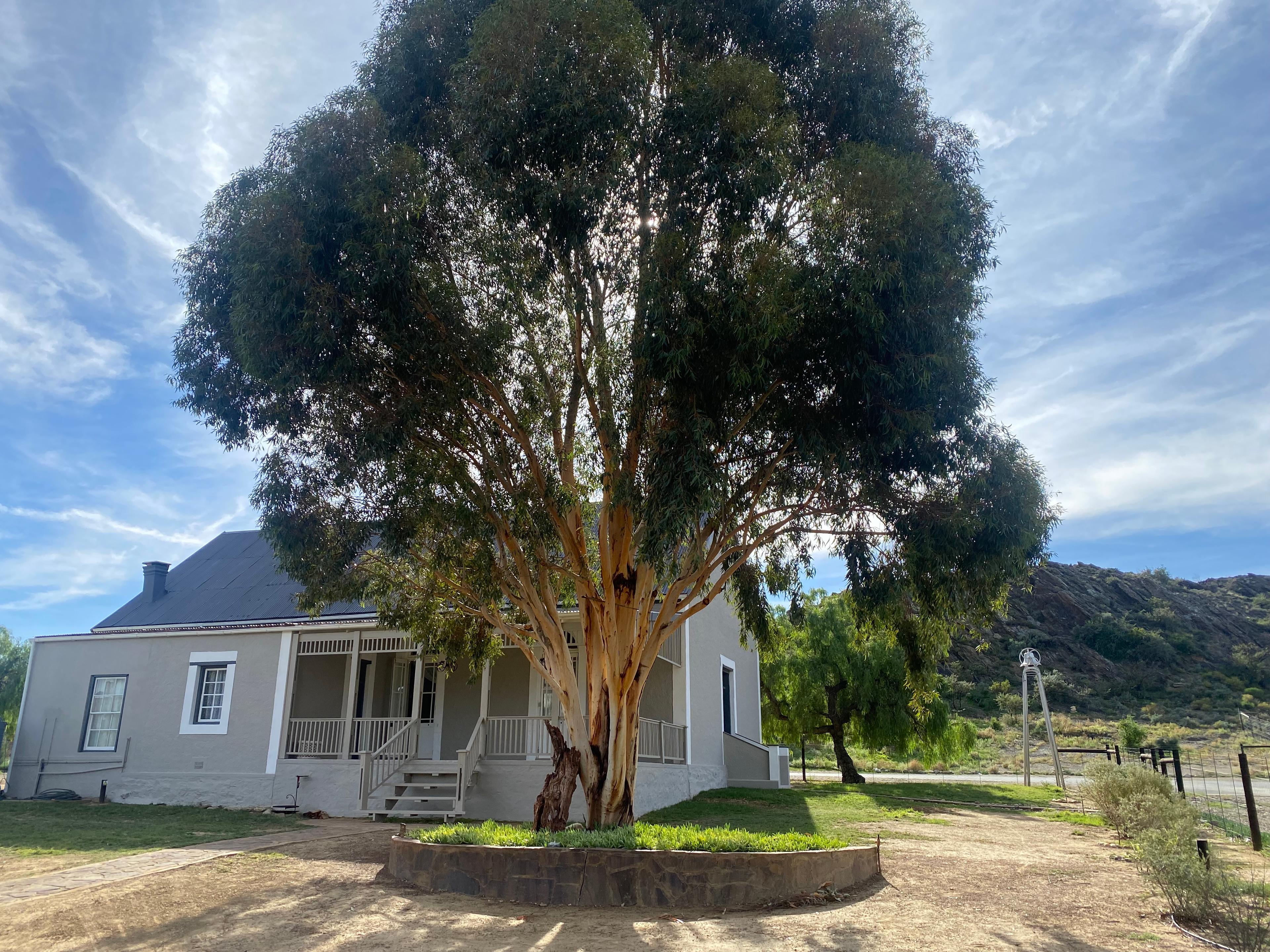 Image 1 of 6