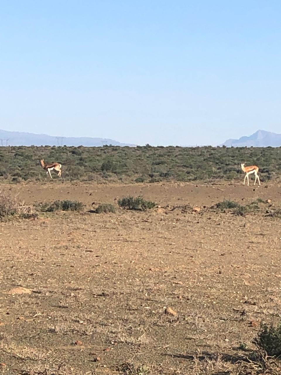 Image 4 of 6