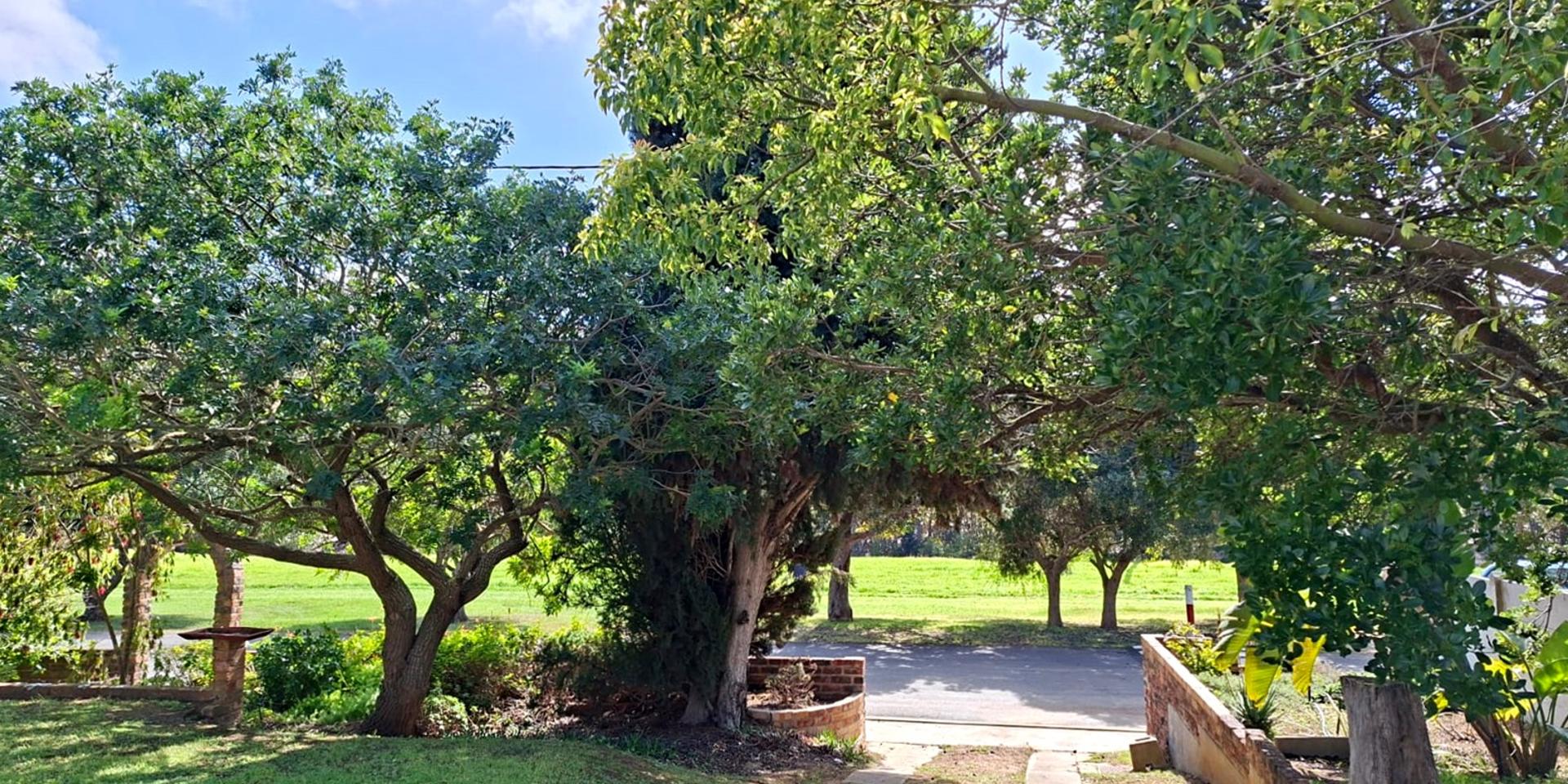 Image 5 of 6