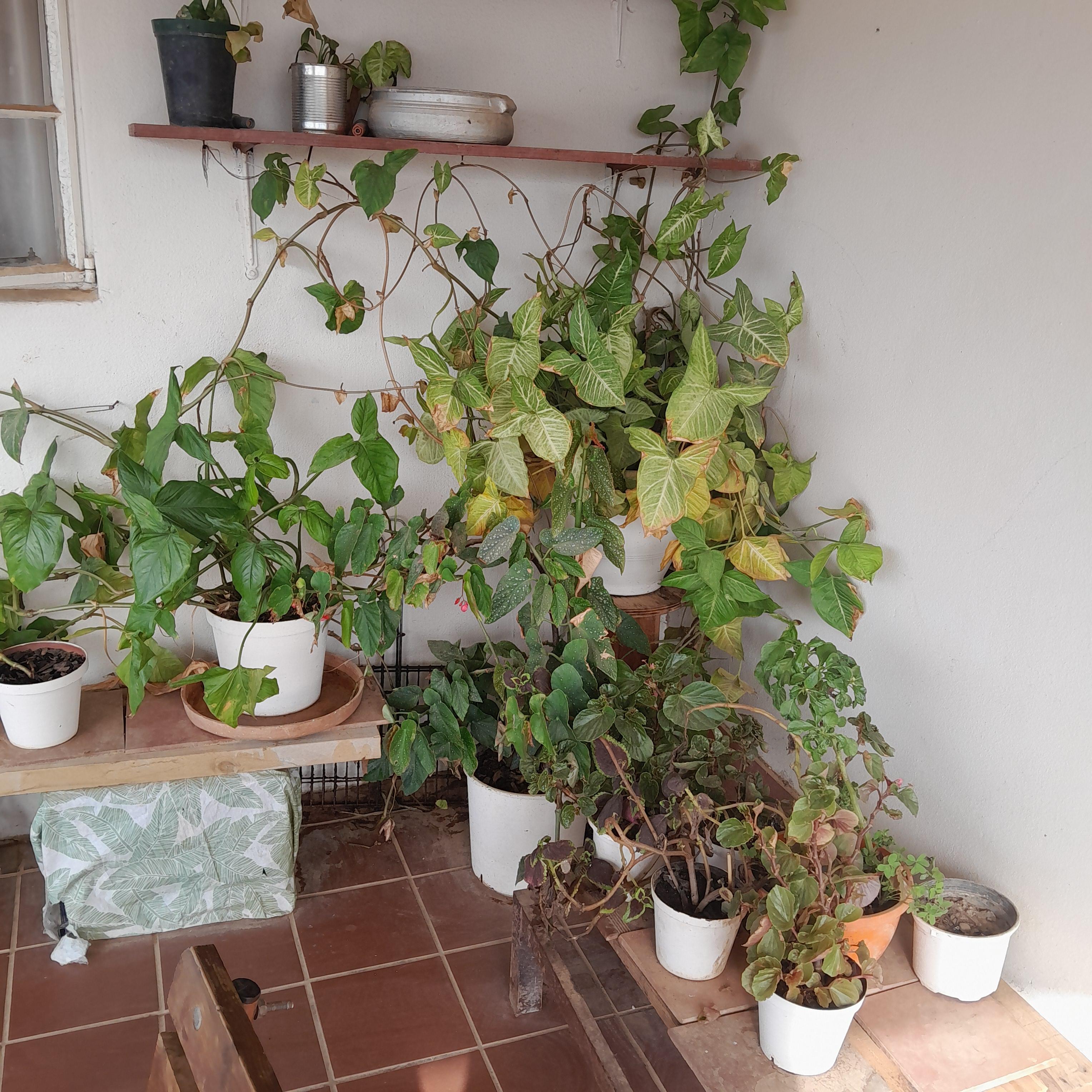 Image 2 of 6