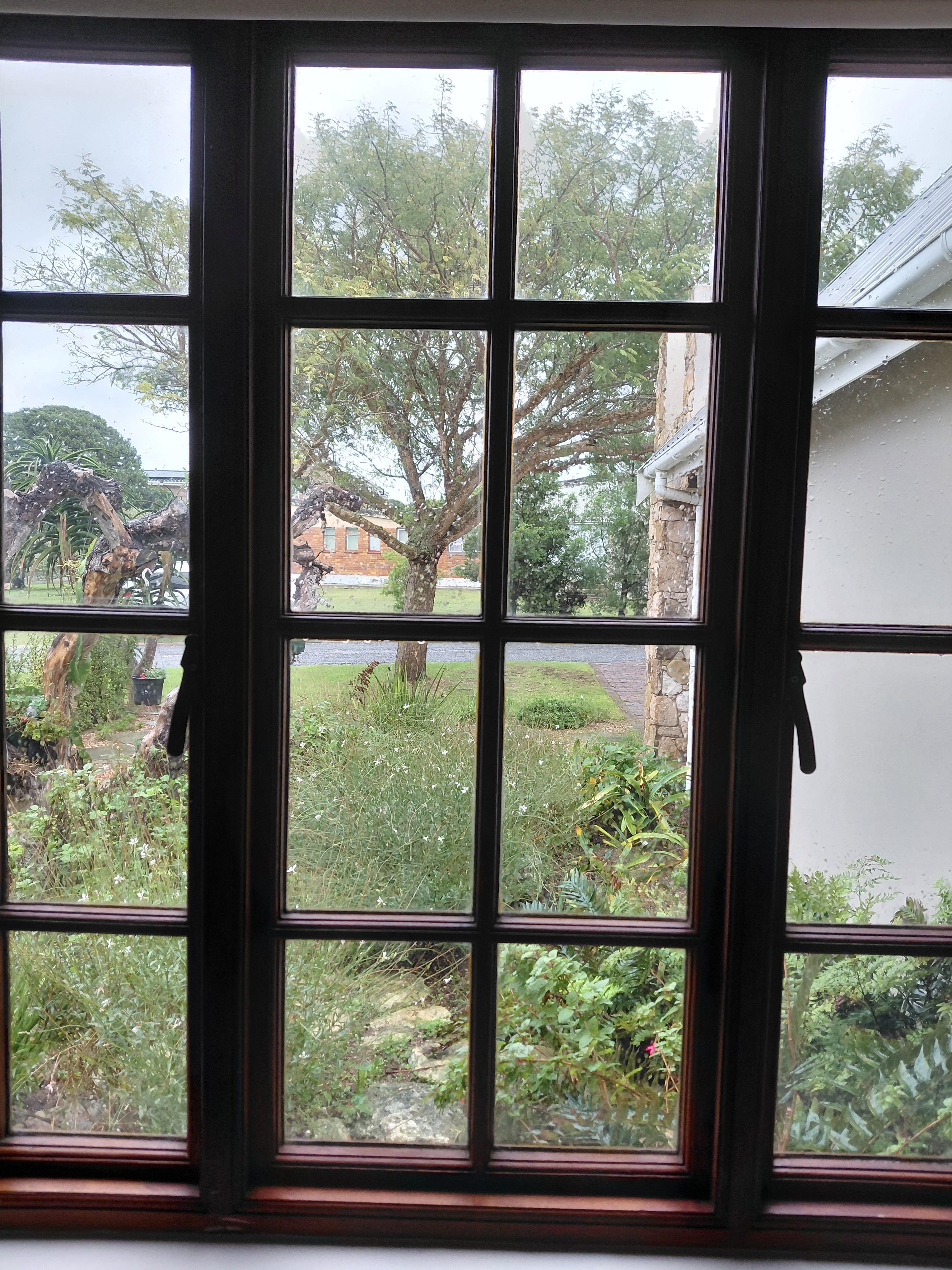 Image 15