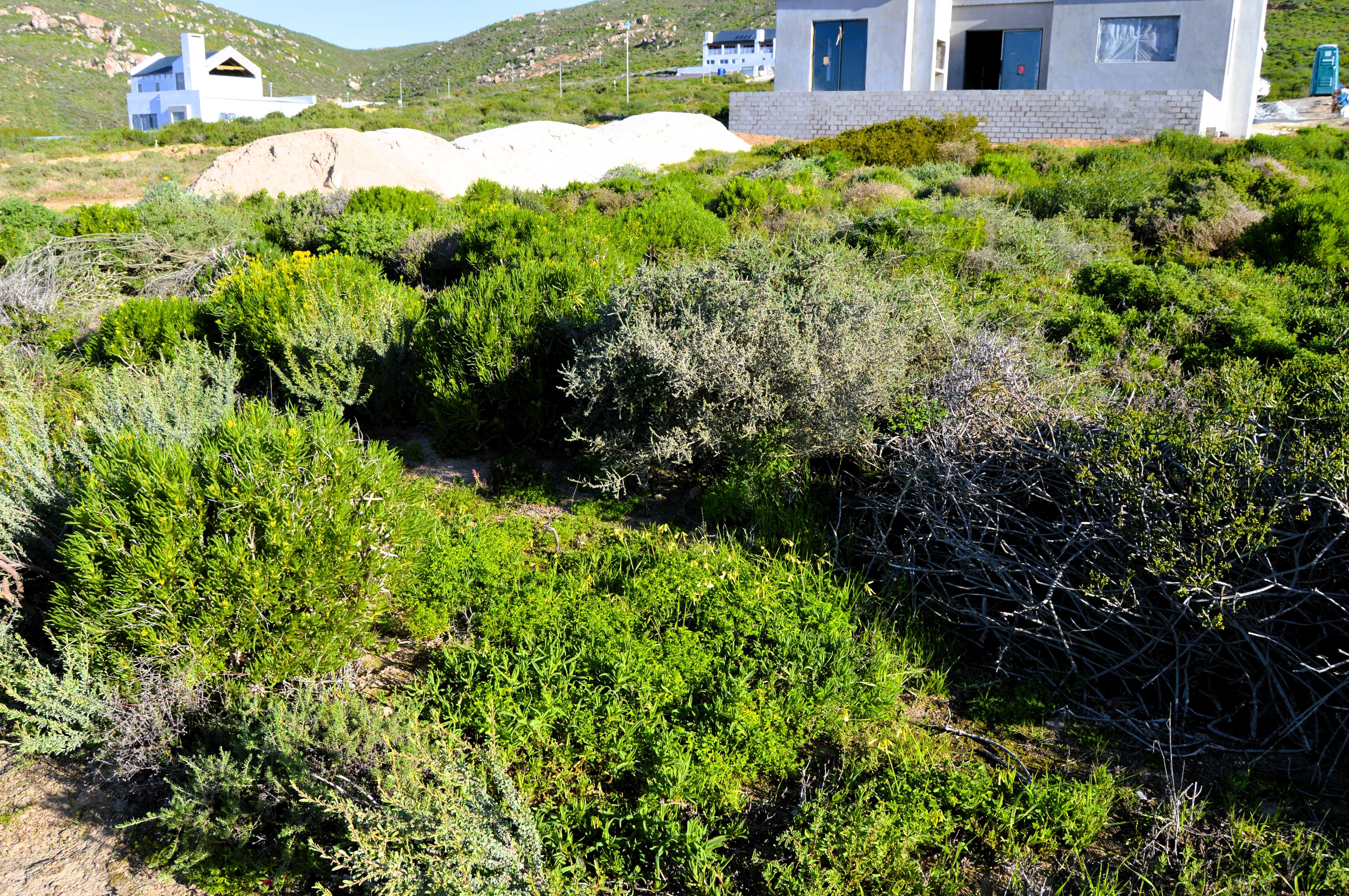 Image 5 of 6