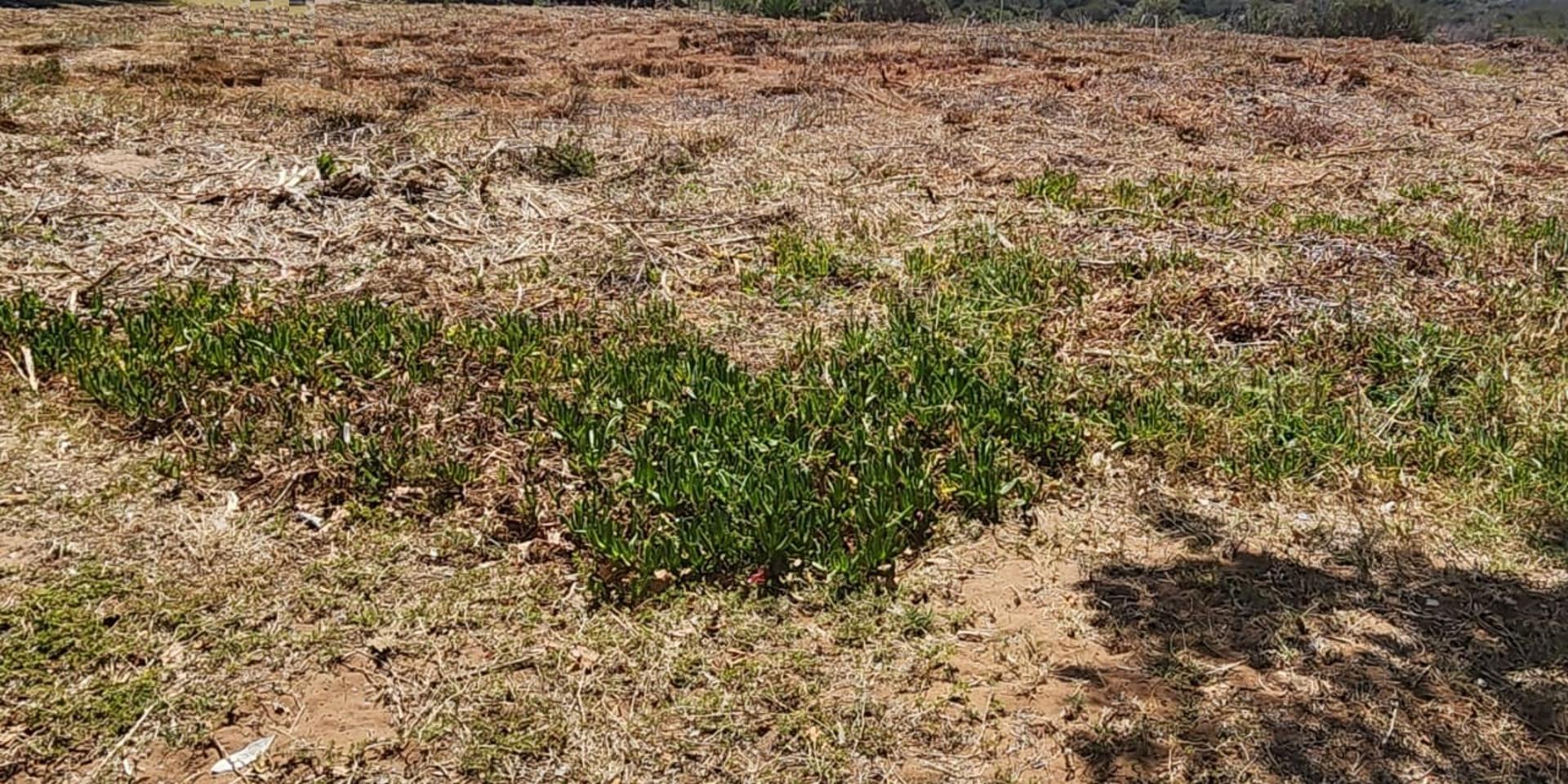 Image 2 of 6