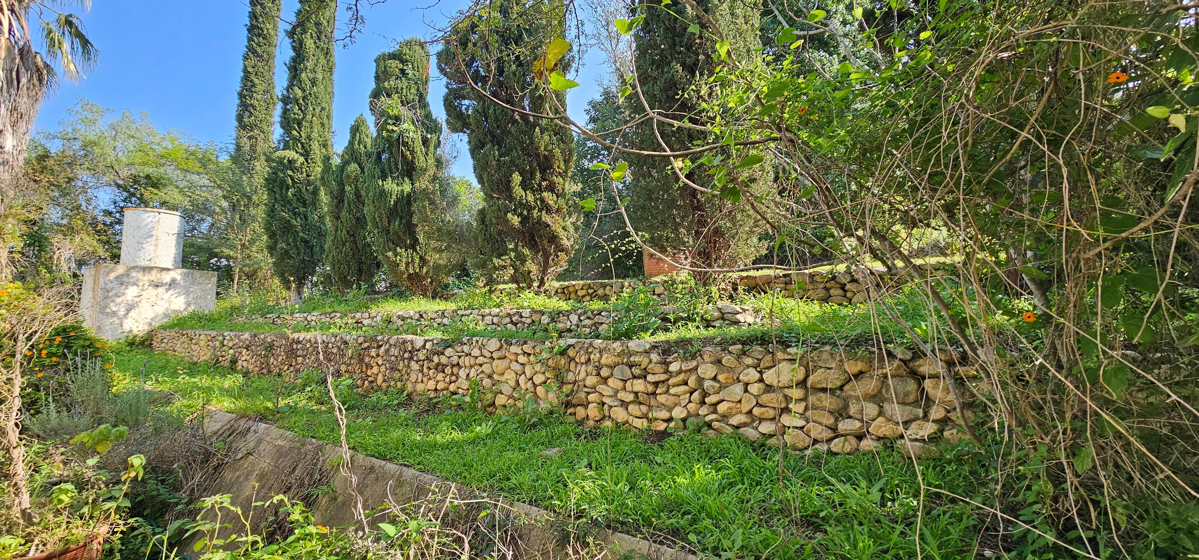 Image 33