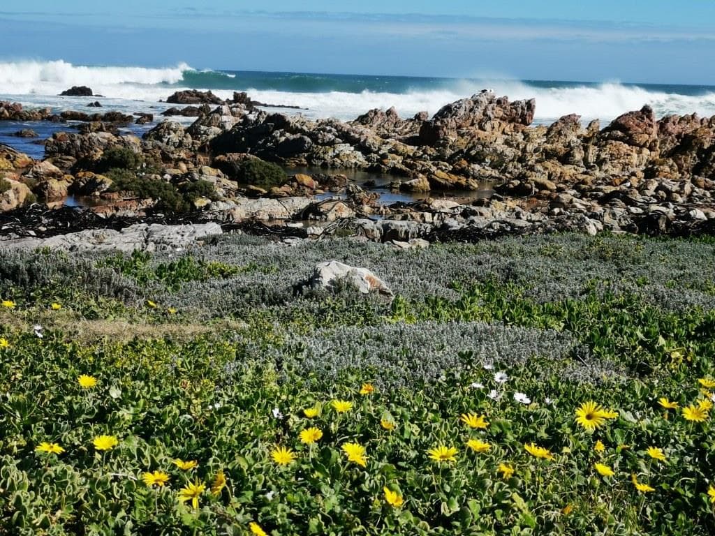 Image 14