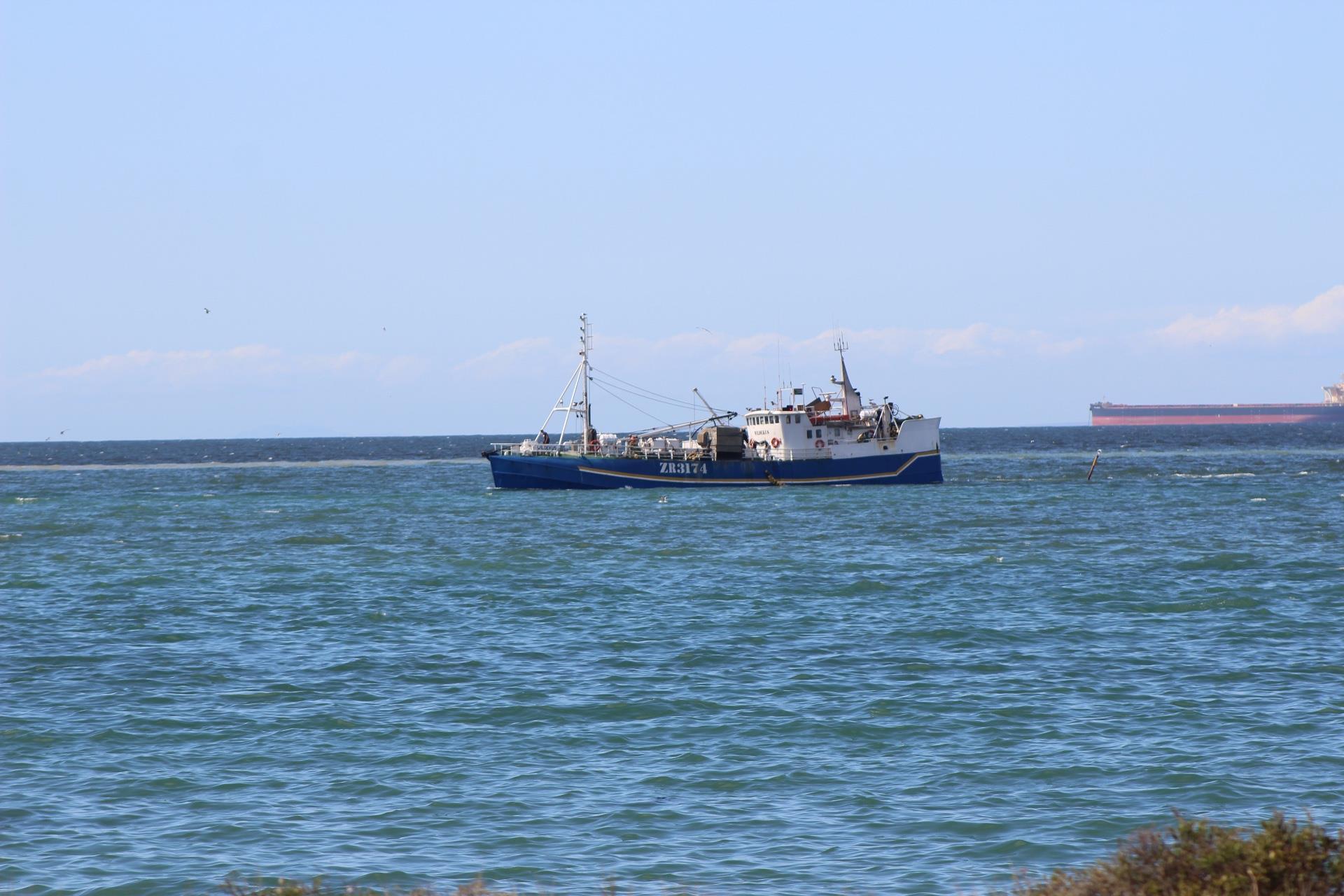 Image 14