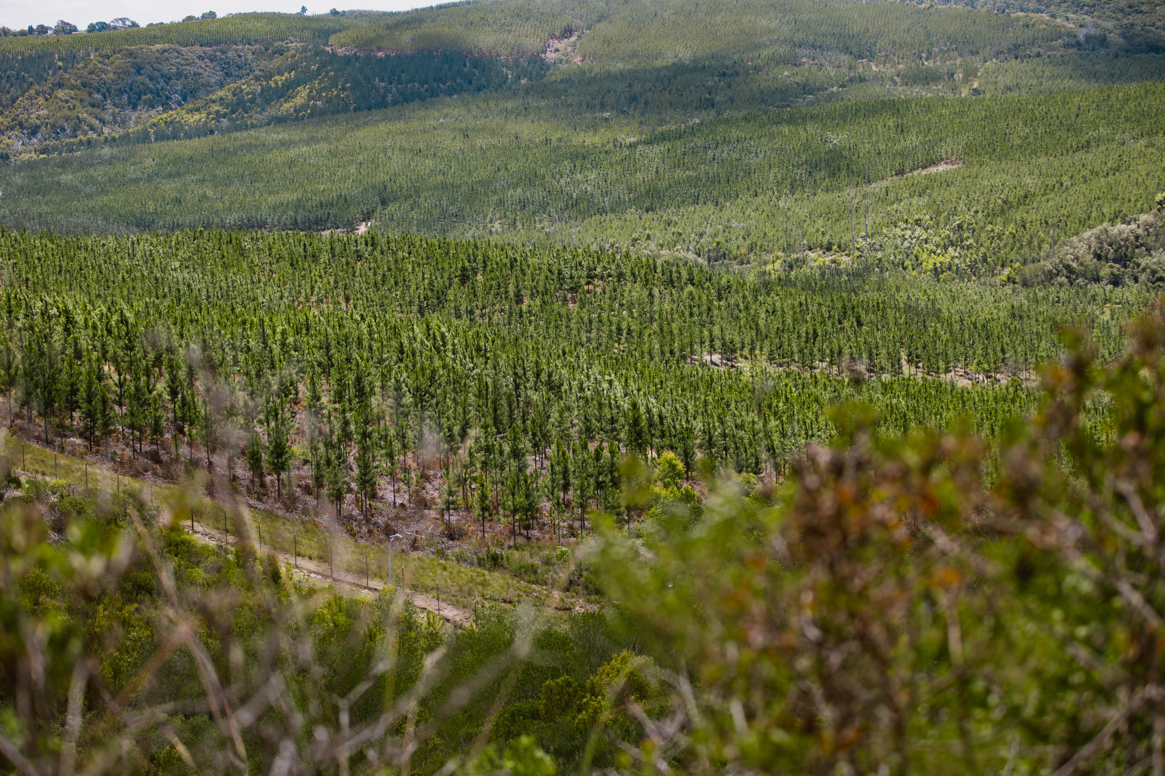 Image 4 of 6