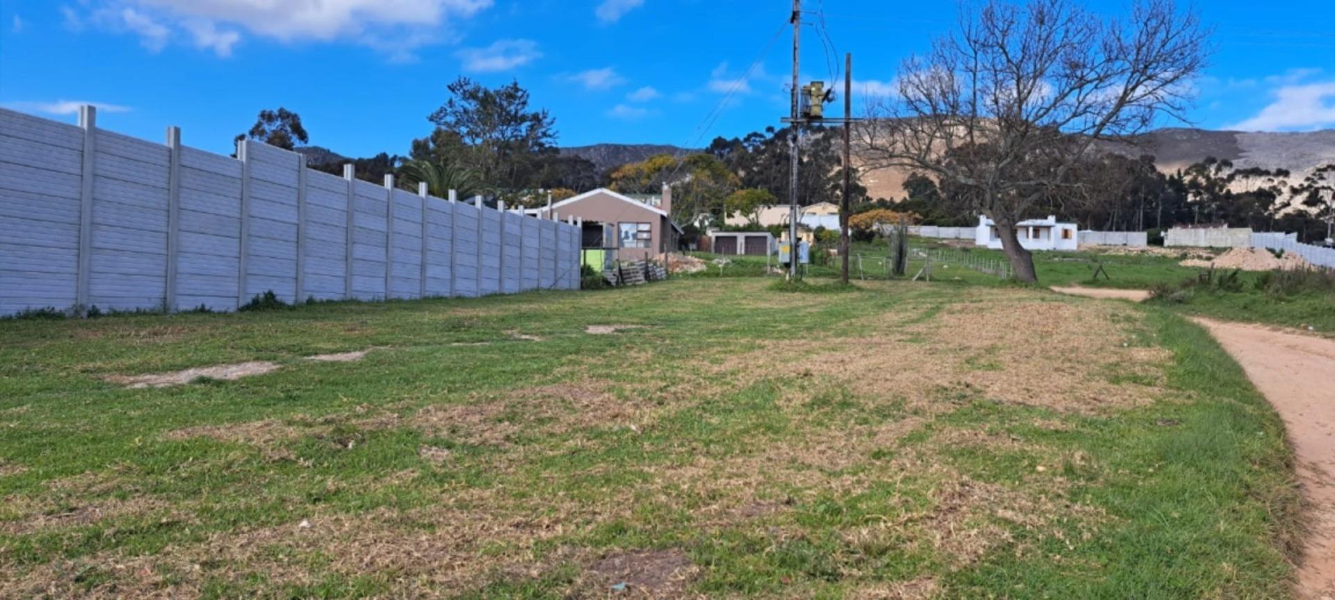 Image 19