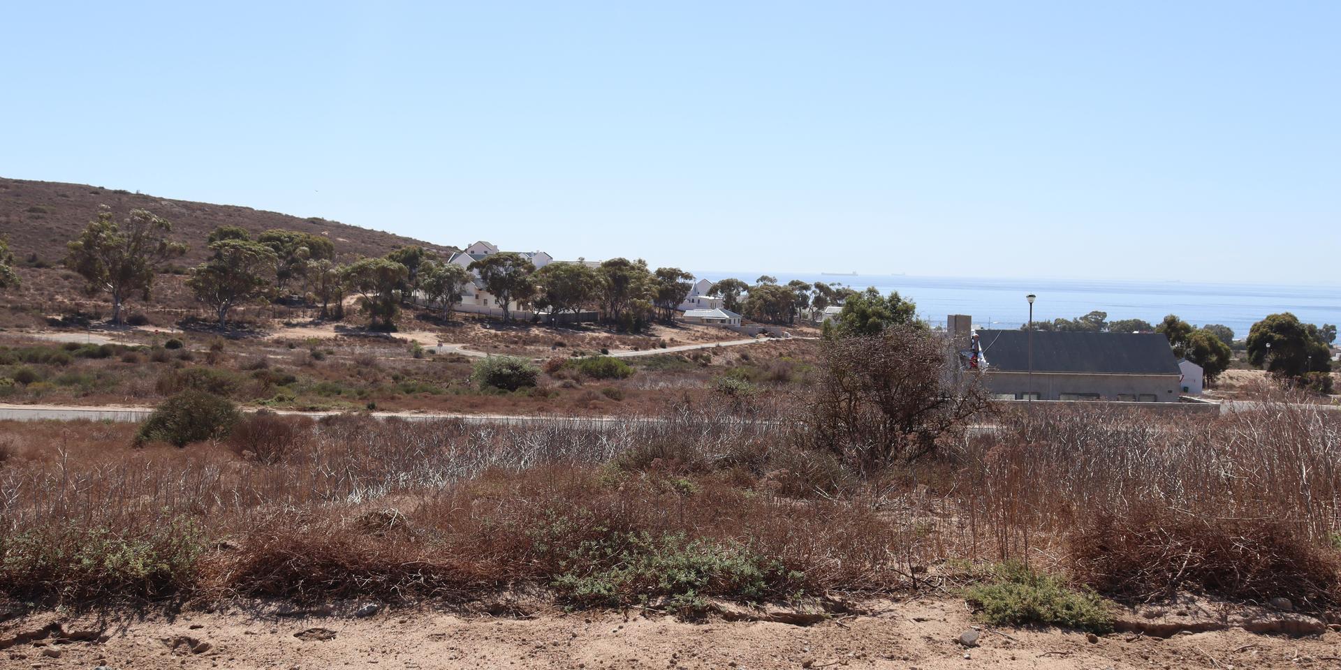 Image 4 of 6