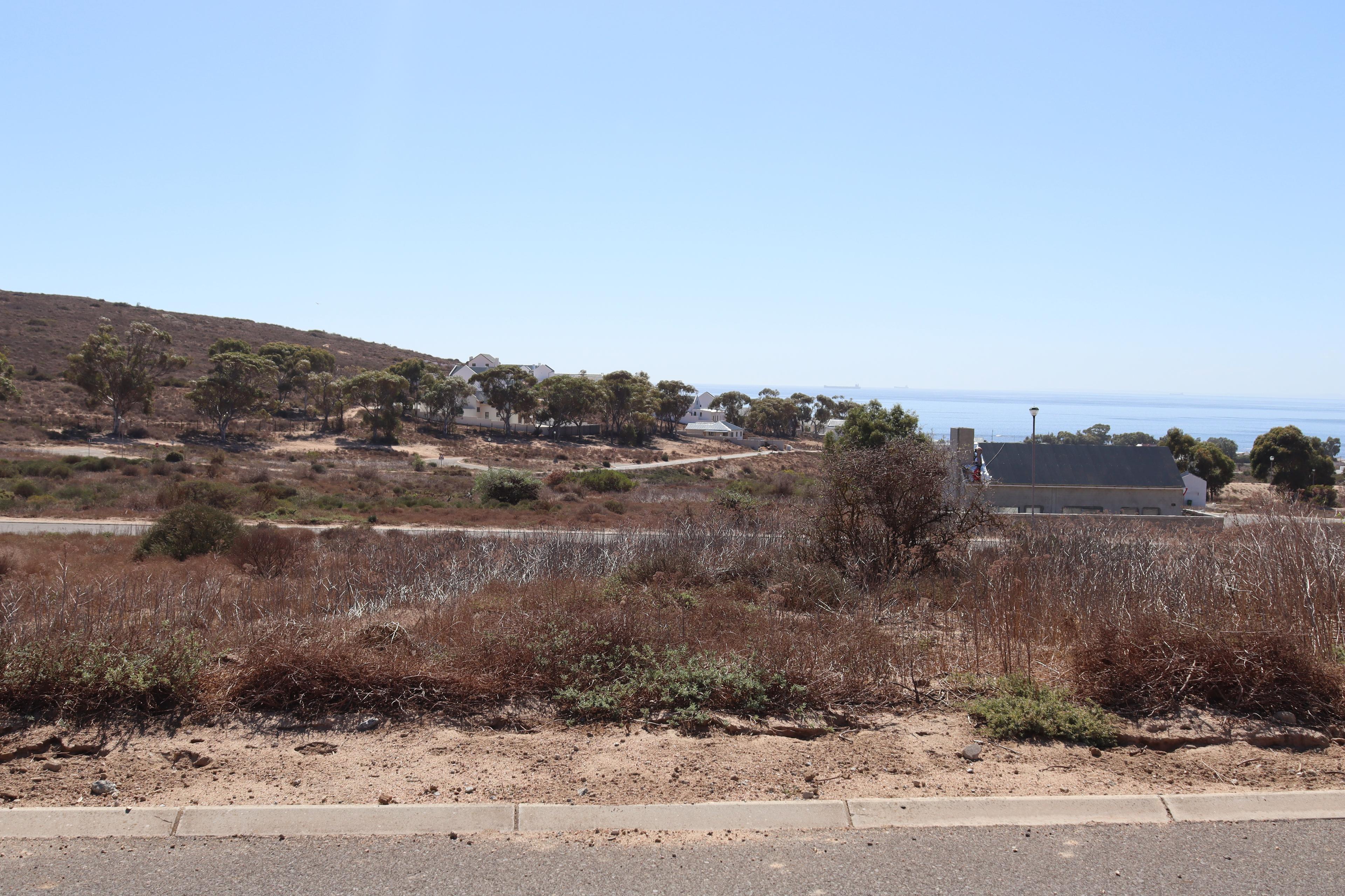 Image 4 of 6