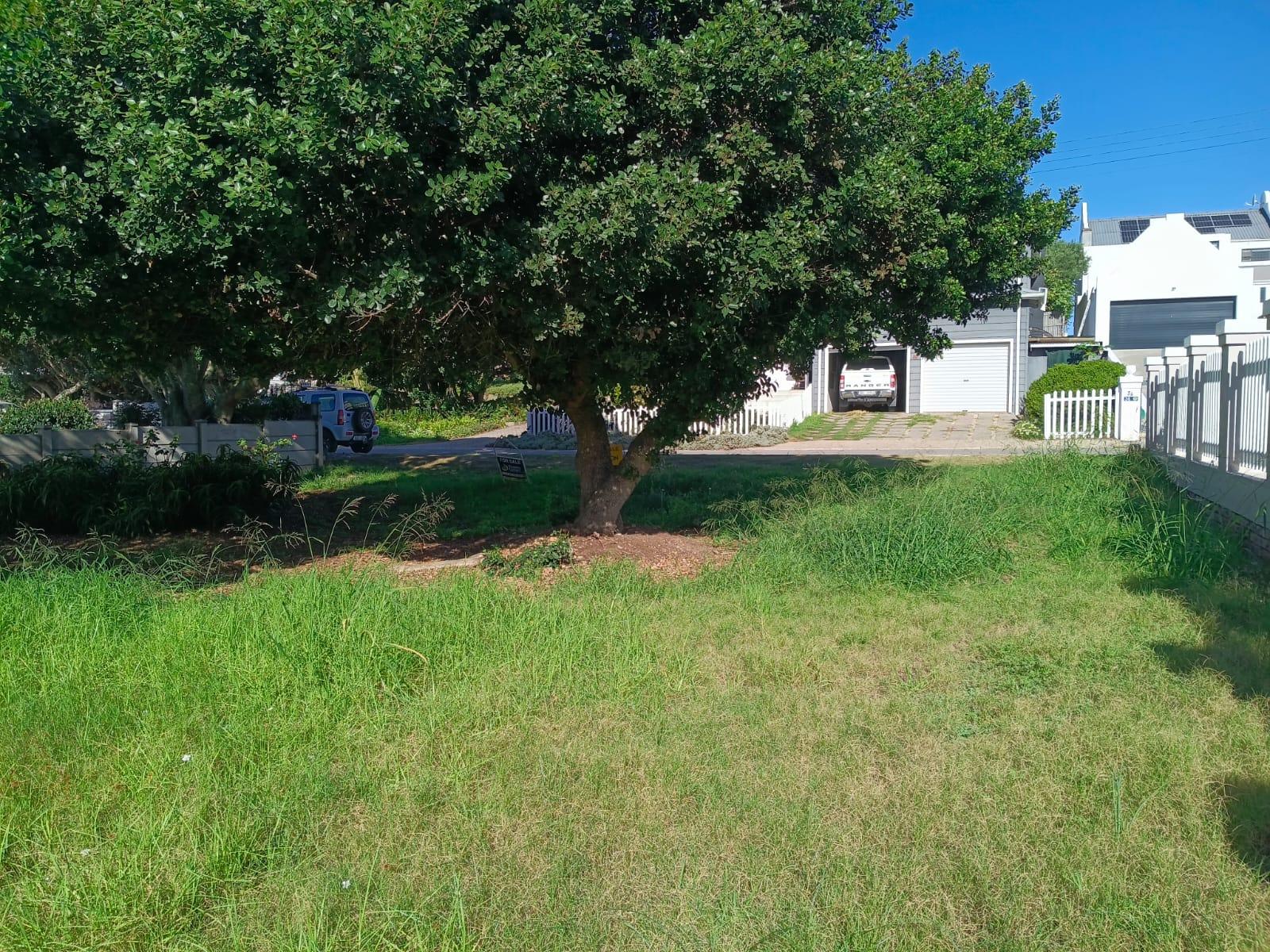 Image 2 of 6
