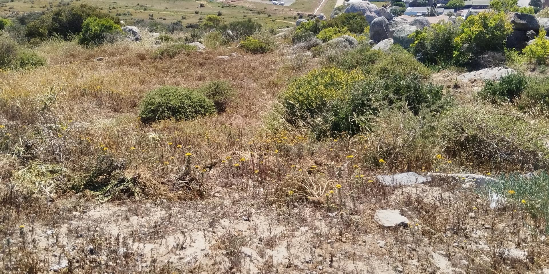 Image 3 of 6