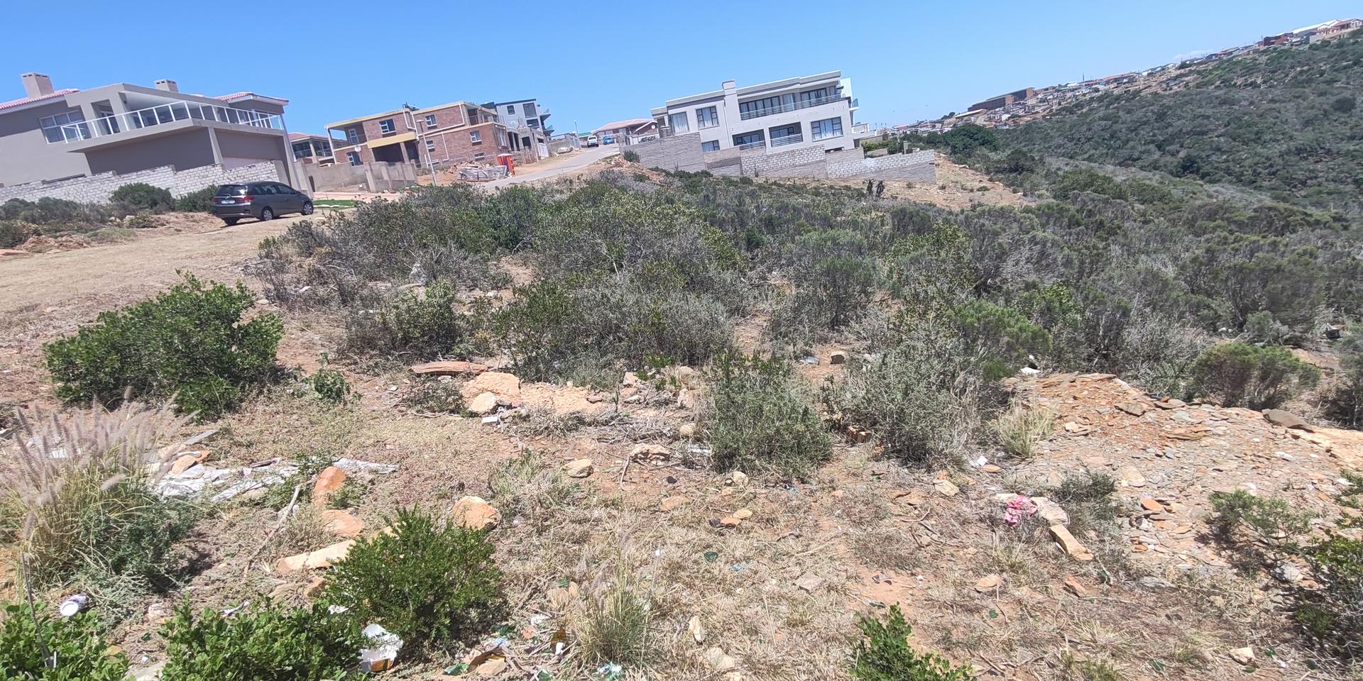 Image 5 of 6