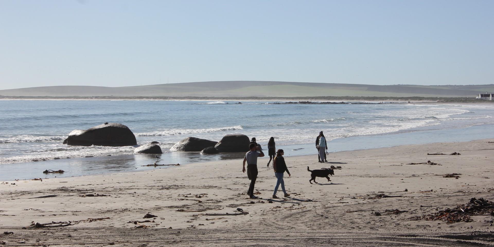 Image 4 of 6