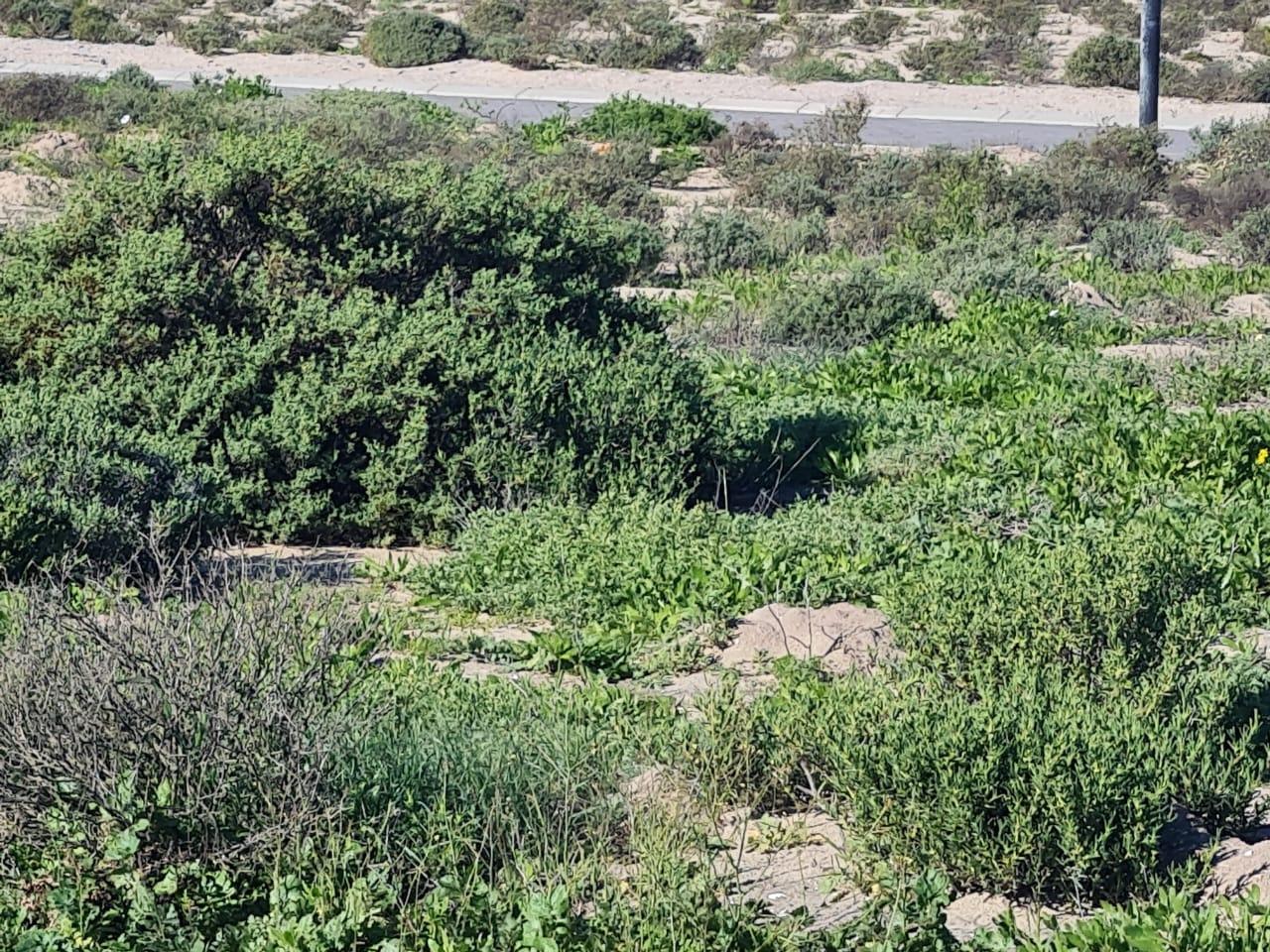 Image 15