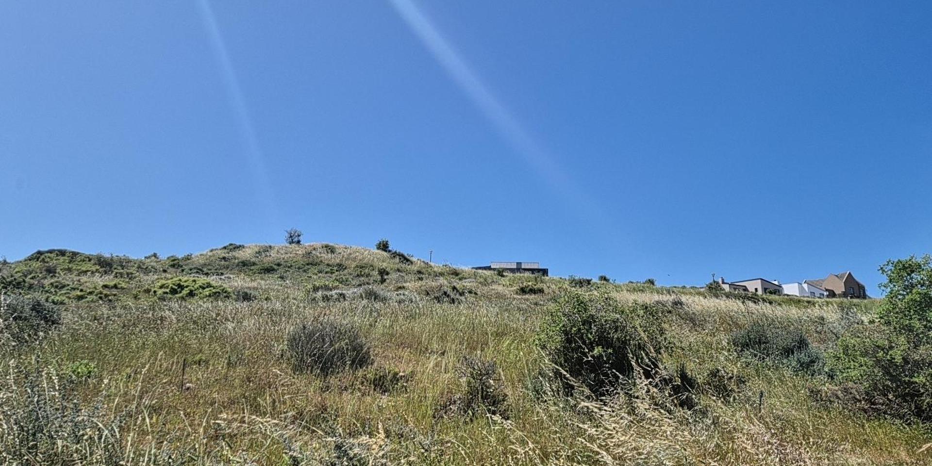 Image 2 of 6