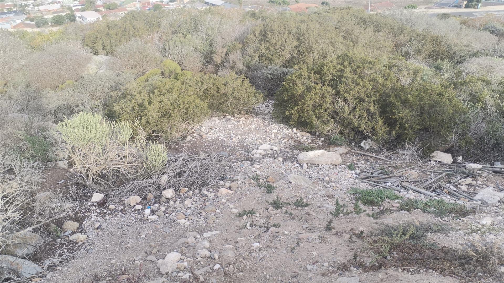 Image 12