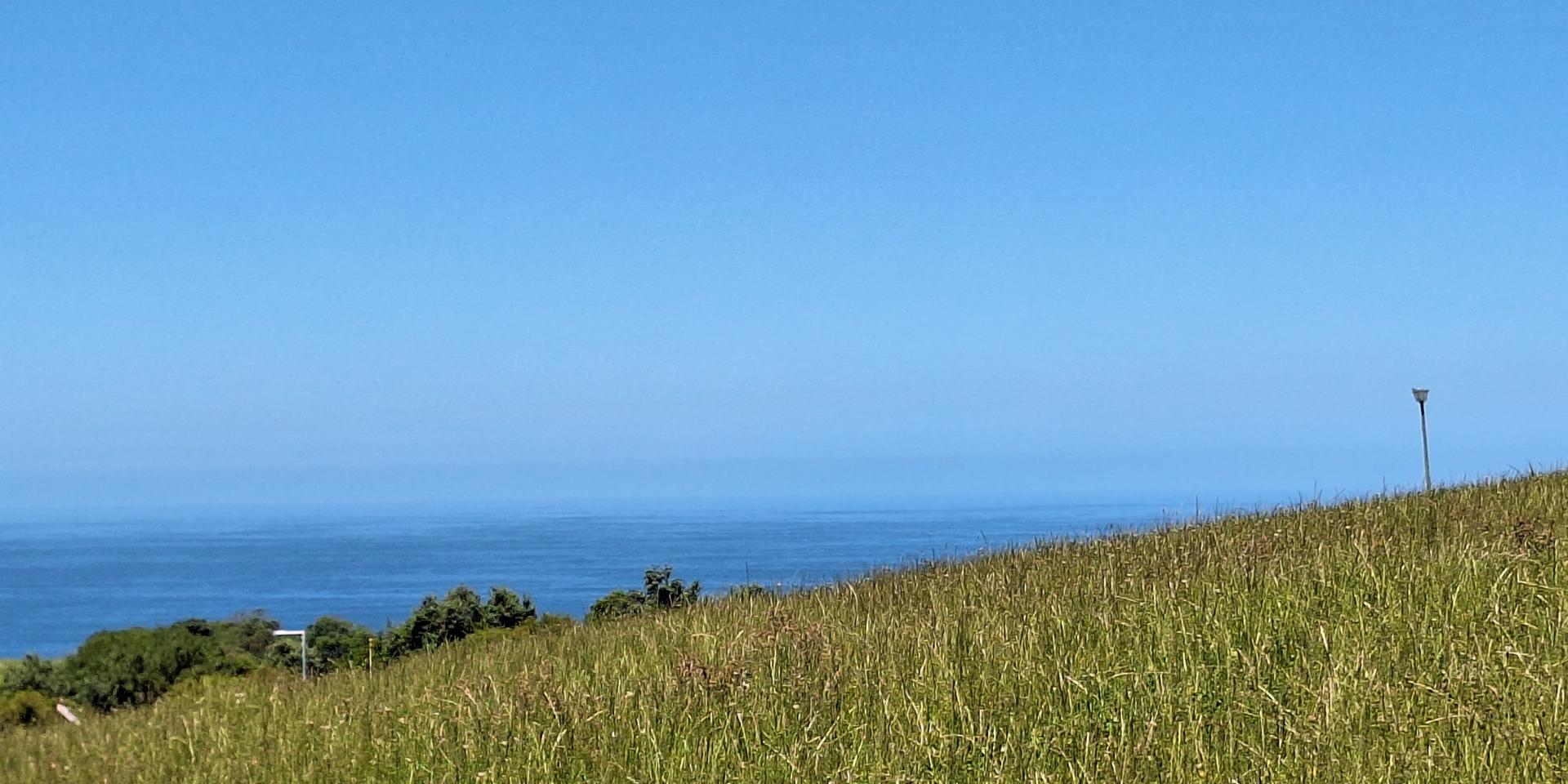 Image 5 of 6
