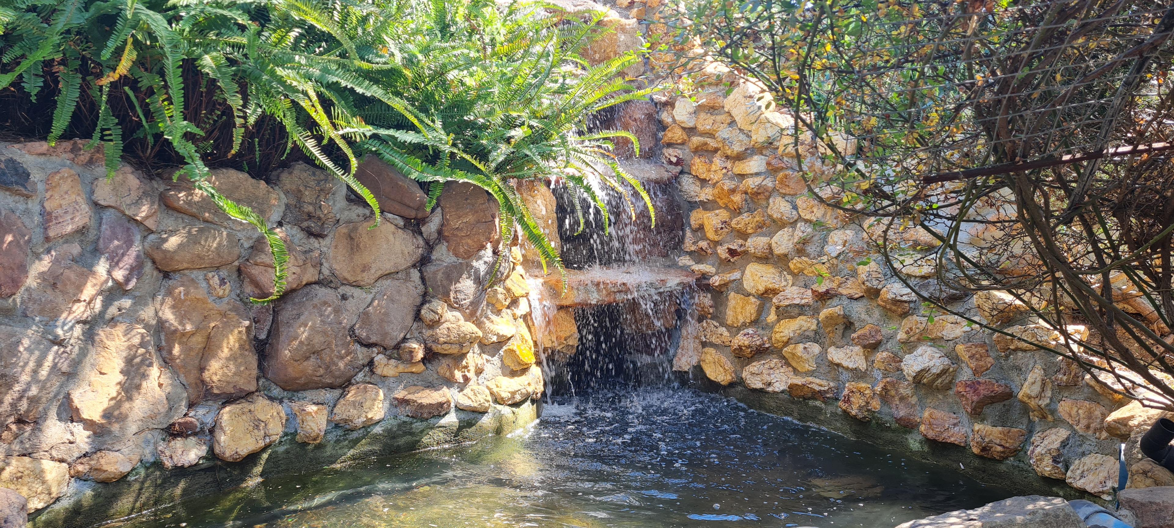 Image 32